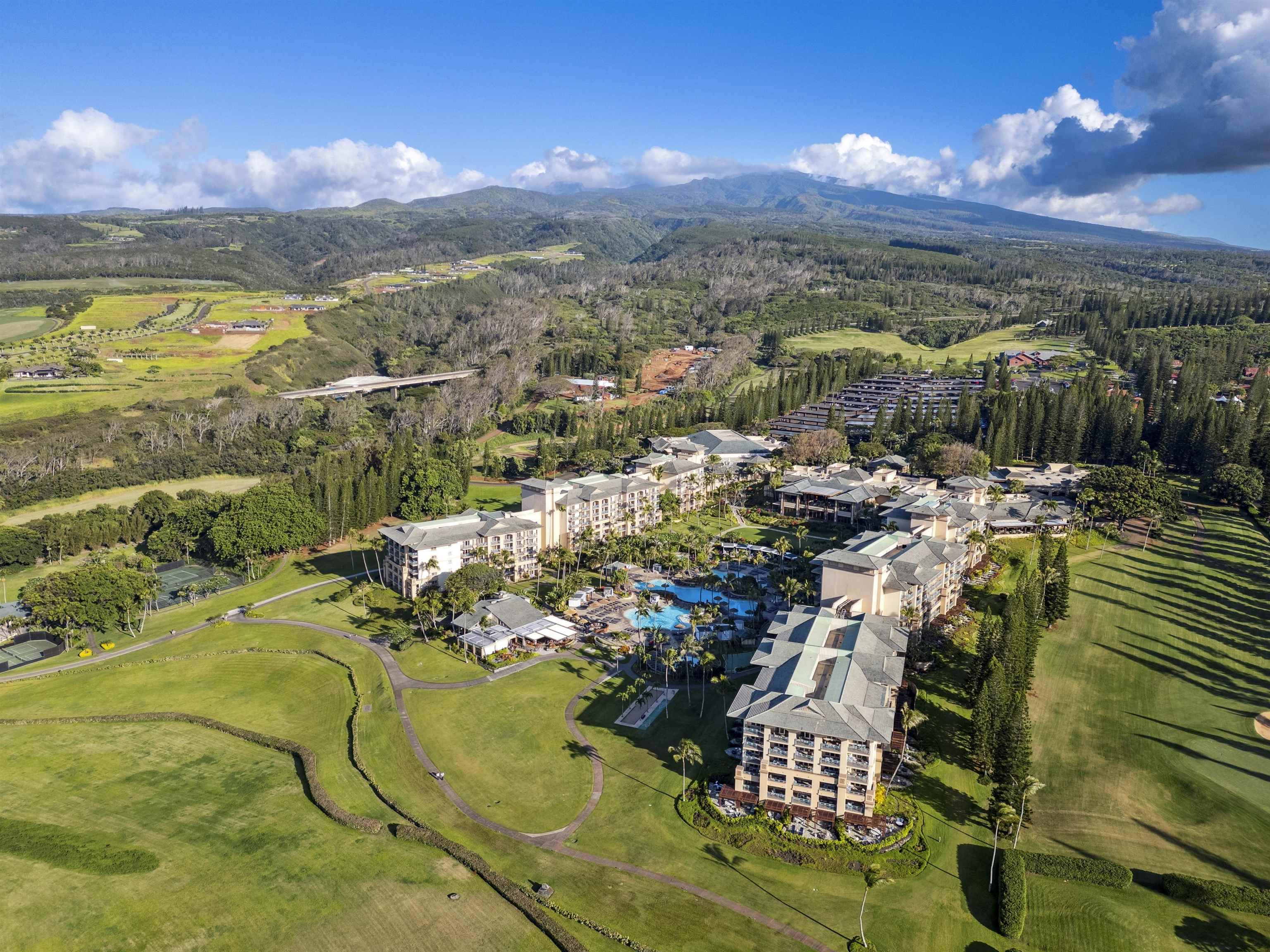 The Ritz Carlton Residences condo # 1712, Lahaina, Hawaii - photo 42 of 42