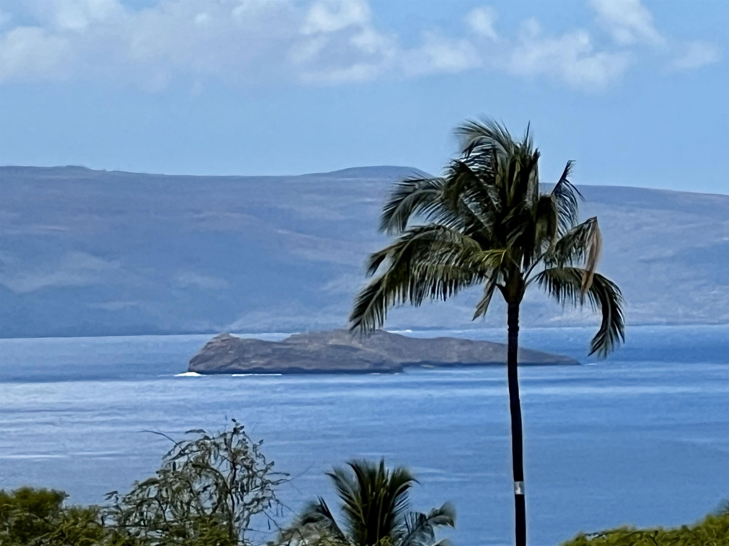 10 Halapa Pl 9 Kihei, Hi vacant land for sale - photo 3 of 13