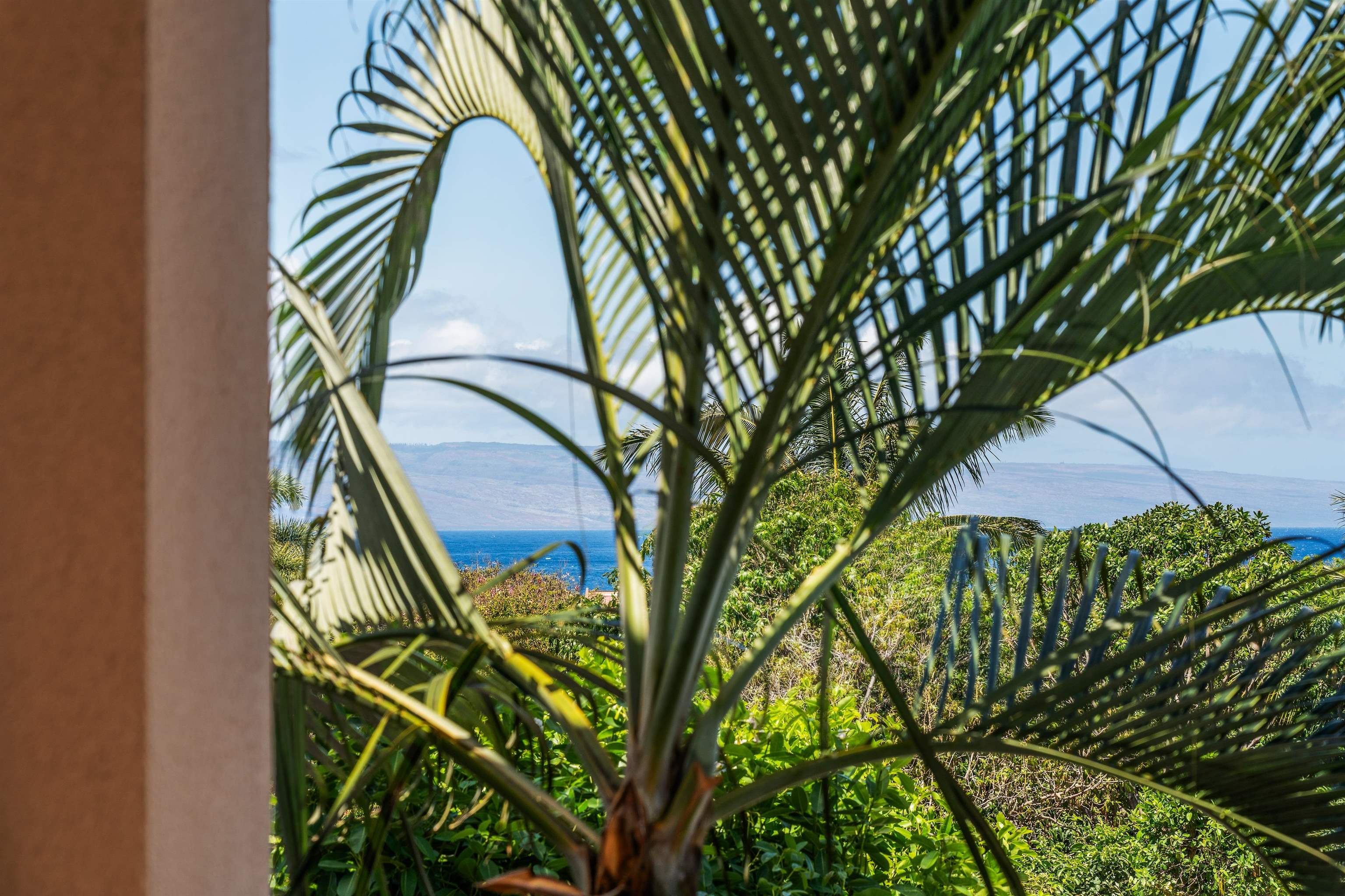 Villas at Kahana Ridge condo # 225, Lahaina, Hawaii - photo 19 of 32