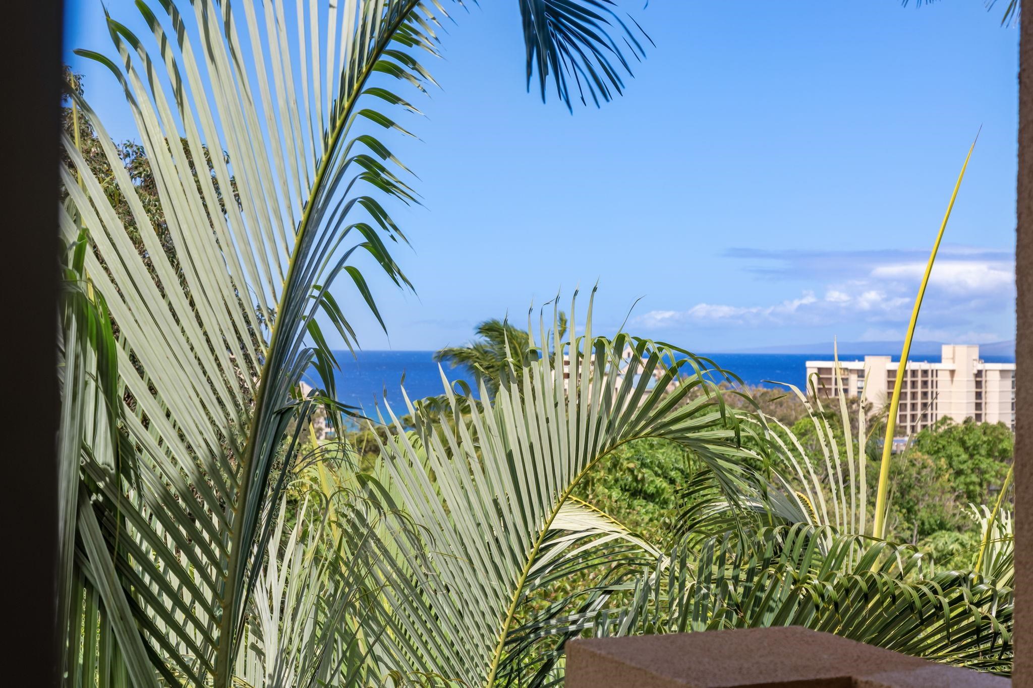 Villas at Kahana Ridge condo # 231, Lahaina, Hawaii - photo 20 of 44
