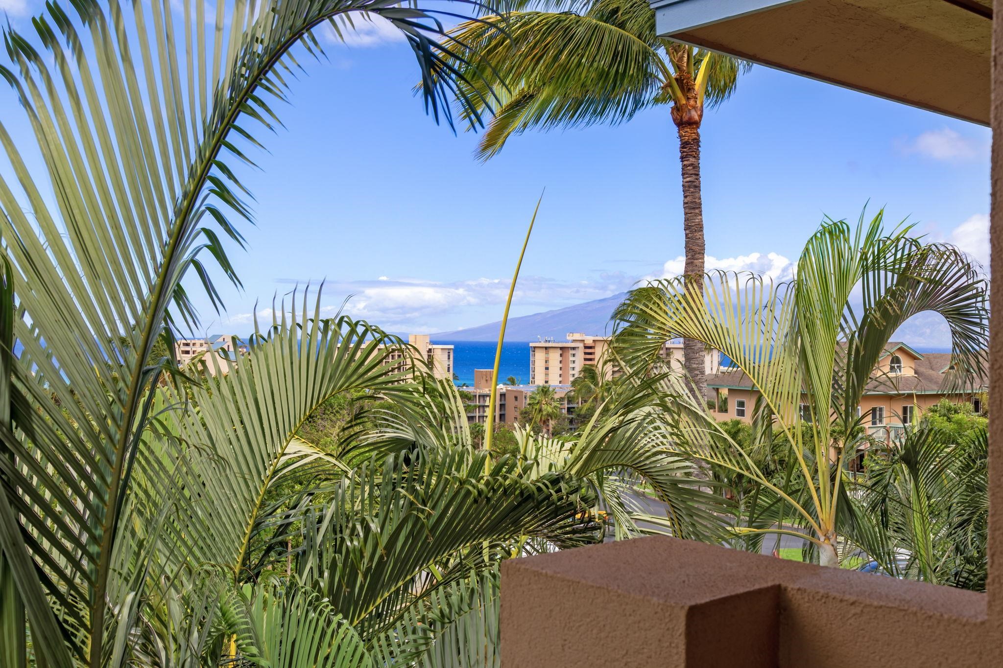 Villas at Kahana Ridge condo # 231, Lahaina, Hawaii - photo 21 of 44