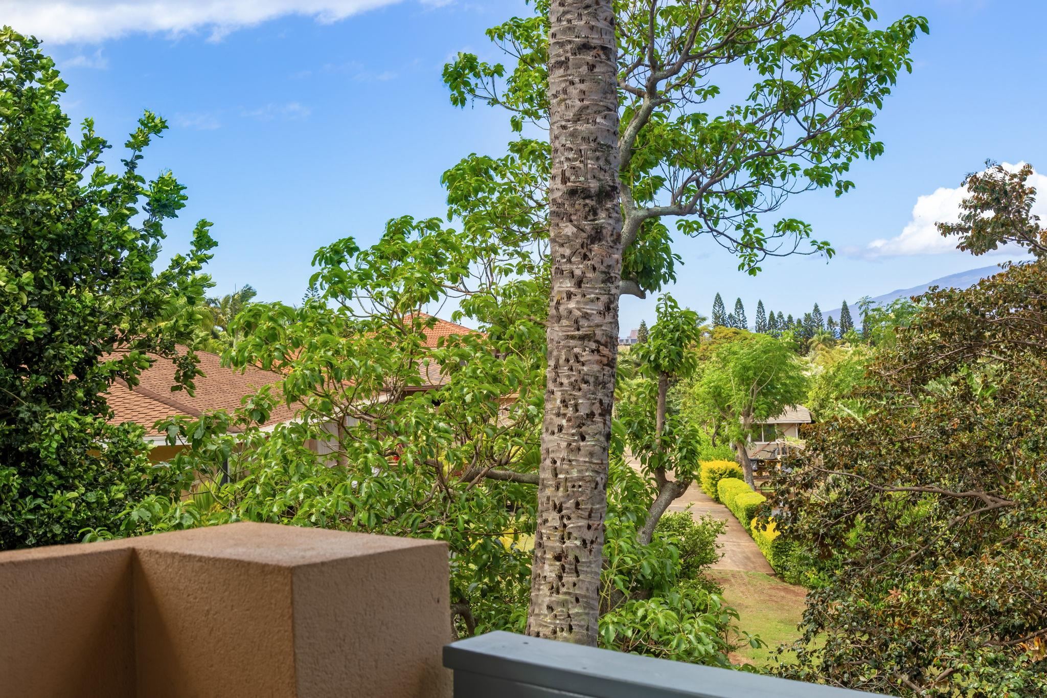 Villas at Kahana Ridge condo # 231, Lahaina, Hawaii - photo 22 of 44