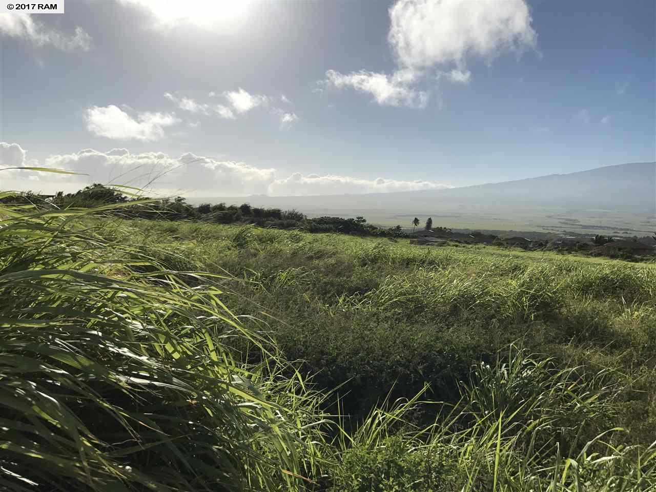 10 Hui Hui Pl Lot 2 Wailuku, Hi vacant land for sale - photo 6 of 11
