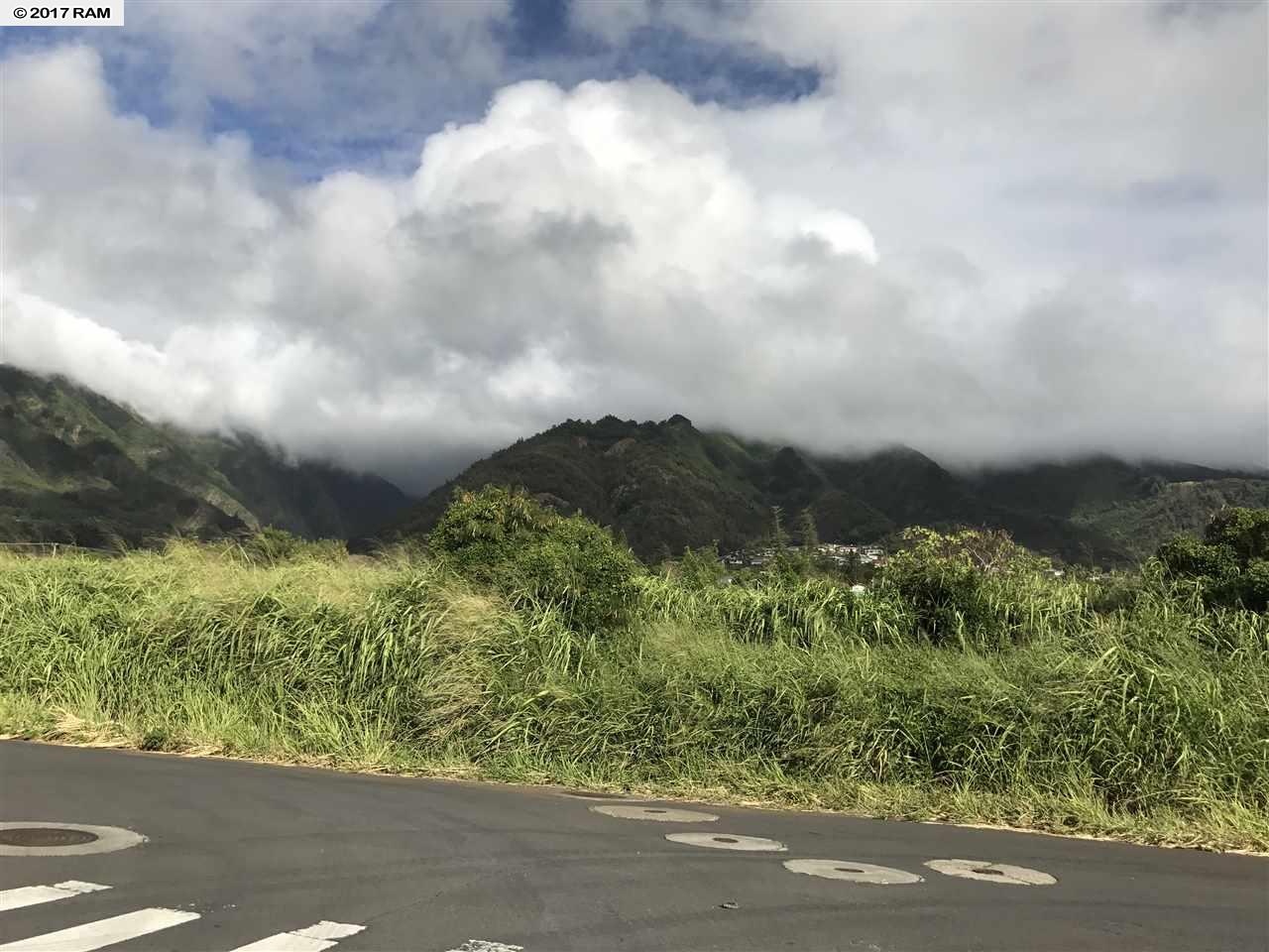 10 Hui Hui Pl Lot 2 Wailuku, Hi vacant land for sale - photo 10 of 11