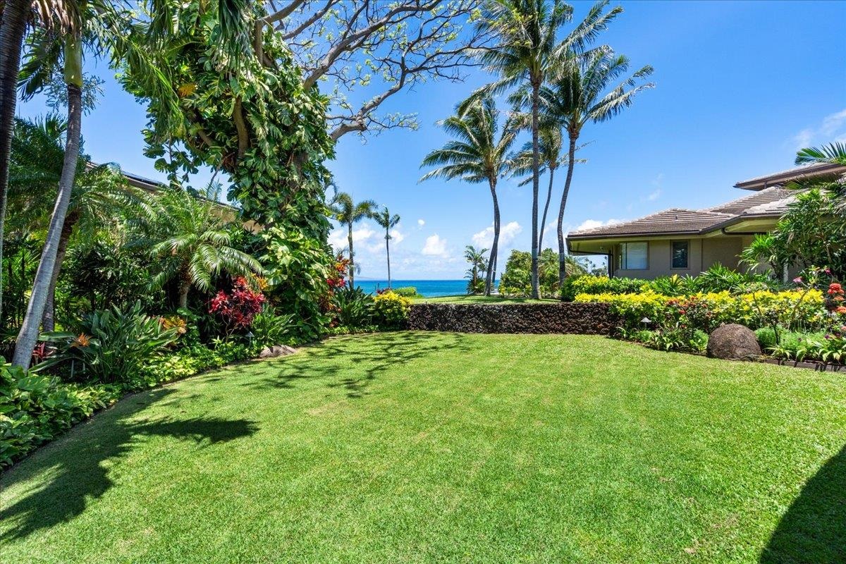 10  Hui Rd E Rd , Napili/Kahana/Honokowai home - photo 42 of 50