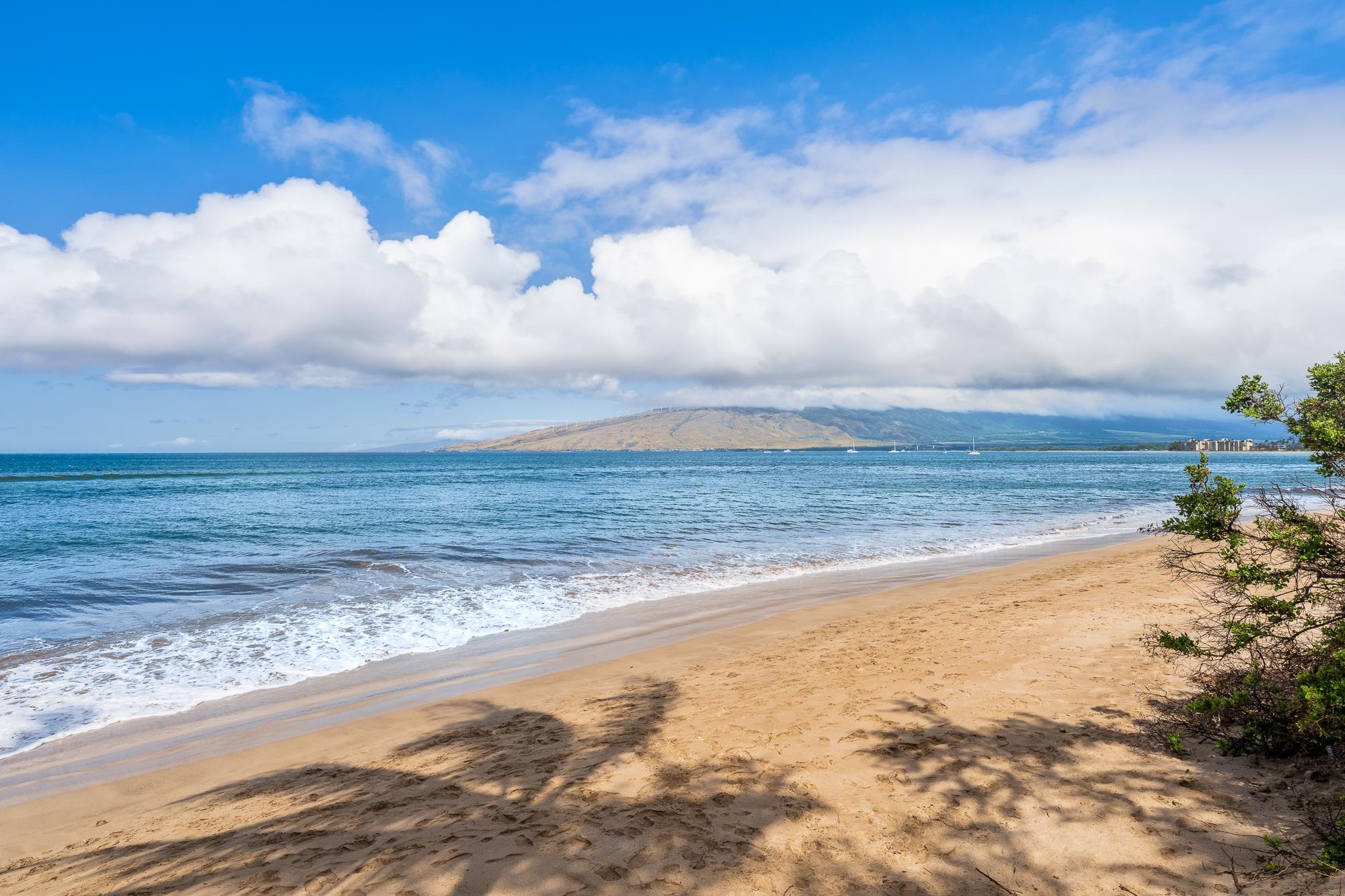 Kai Makani condo # A 103, Kihei, Hawaii - photo 22 of 50