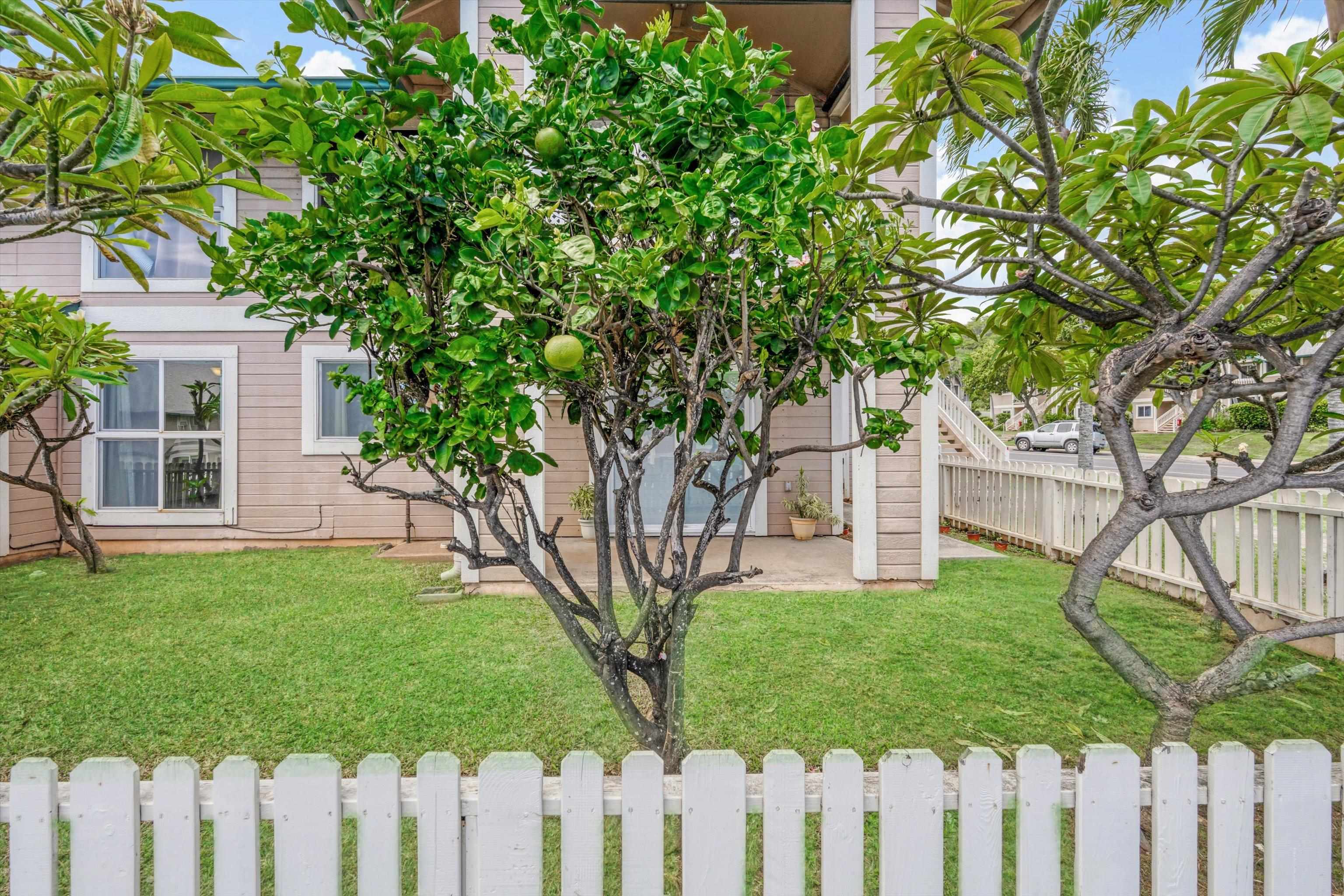 Iao Parkside I condo # 18-104, Wailuku, Hawaii - photo 30 of 41