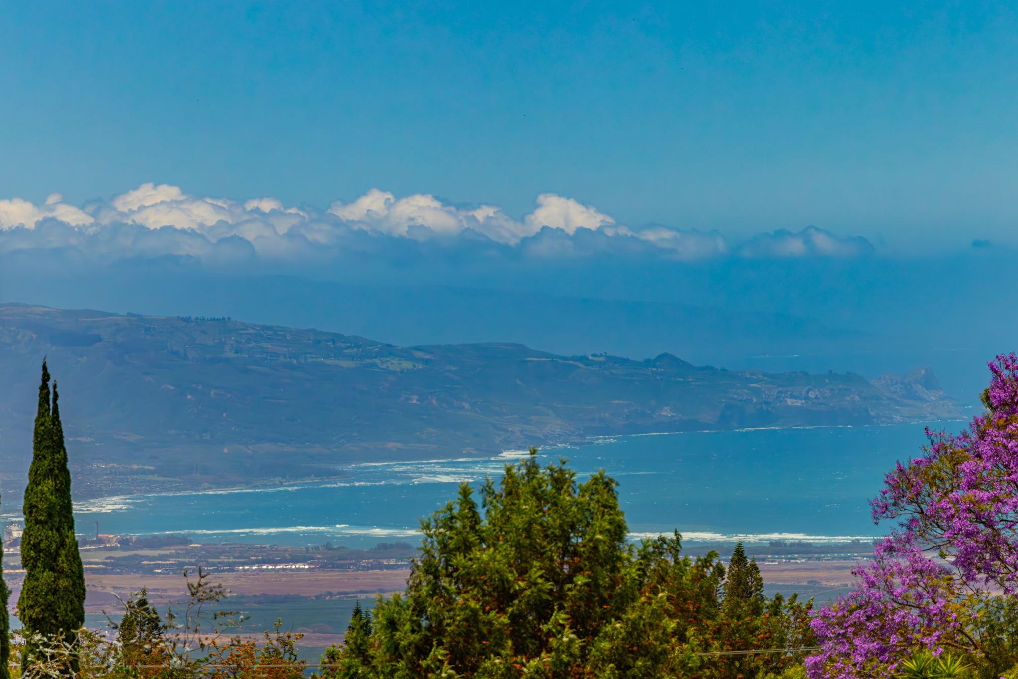 10  Lopaka Pl , Kula/Ulupalakua/Kanaio home - photo 17 of 50