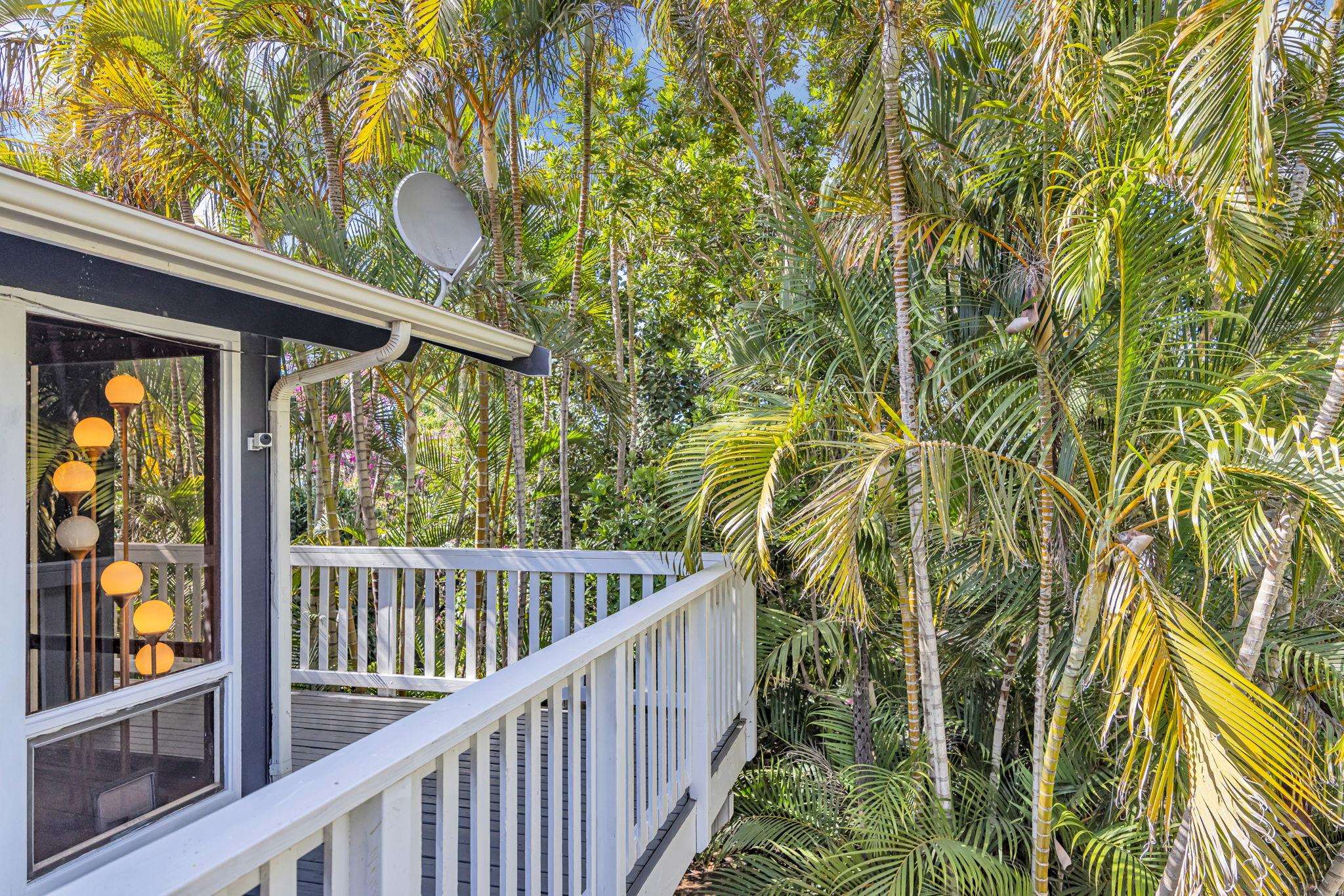 10  Lopaka Pl , Kula/Ulupalakua/Kanaio home - photo 45 of 50