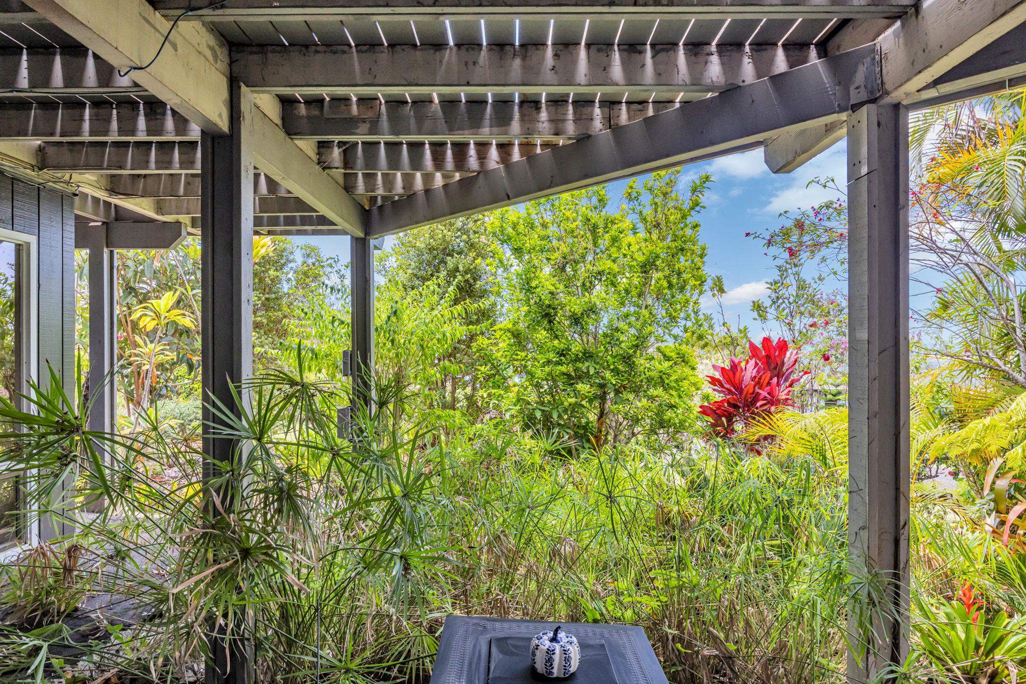 10  Lopaka Pl , Kula/Ulupalakua/Kanaio home - photo 47 of 50