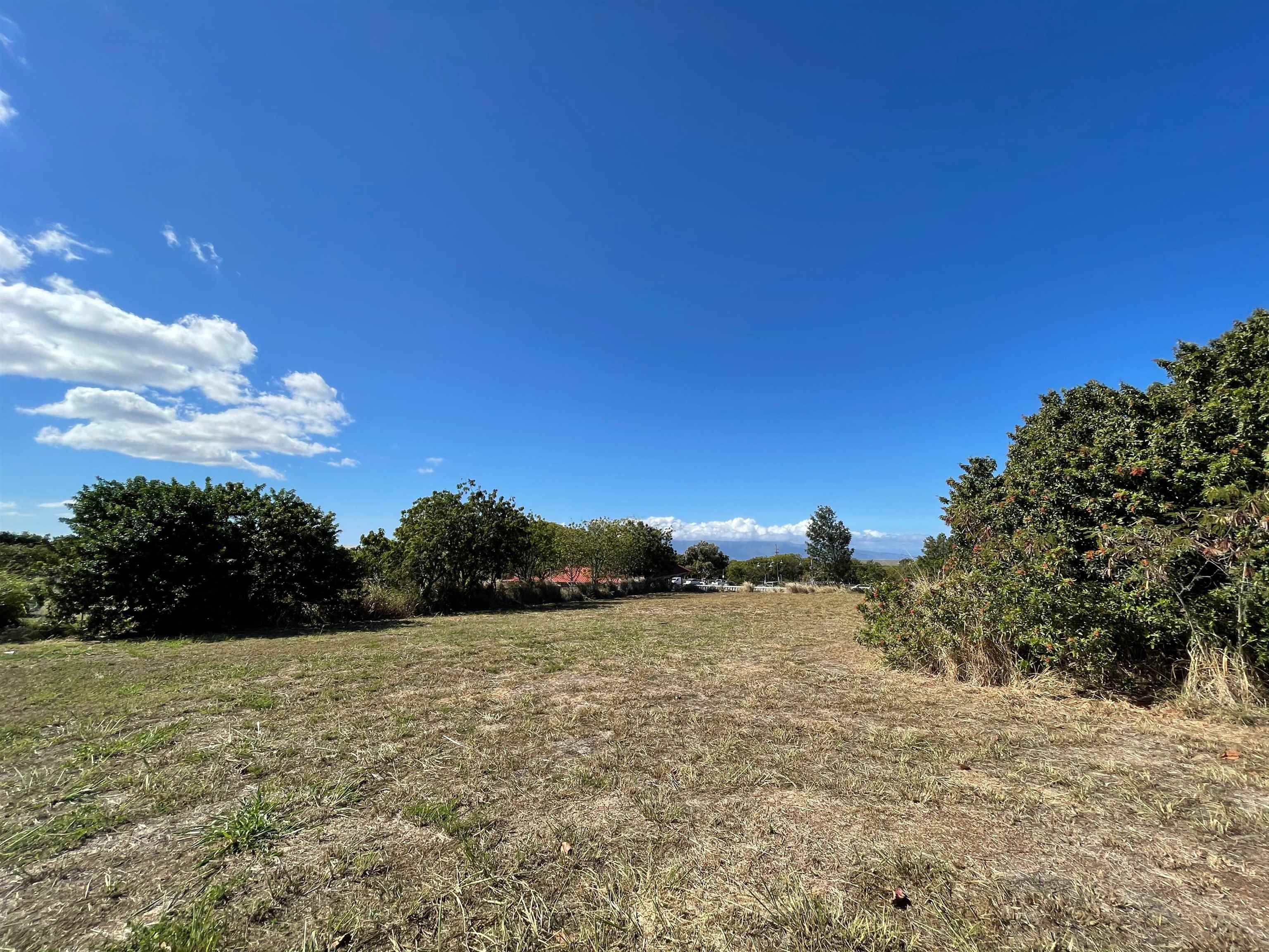 10 Mohala Pl Unit A, Pukalani, Hi 96768