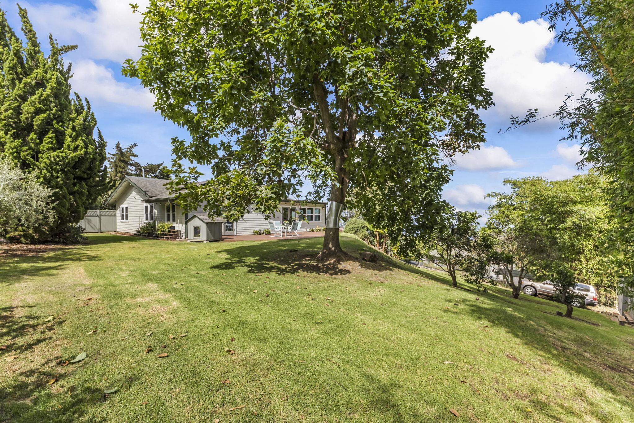 10  Palena Pl , Kula/Ulupalakua/Kanaio home - photo 41 of 50
