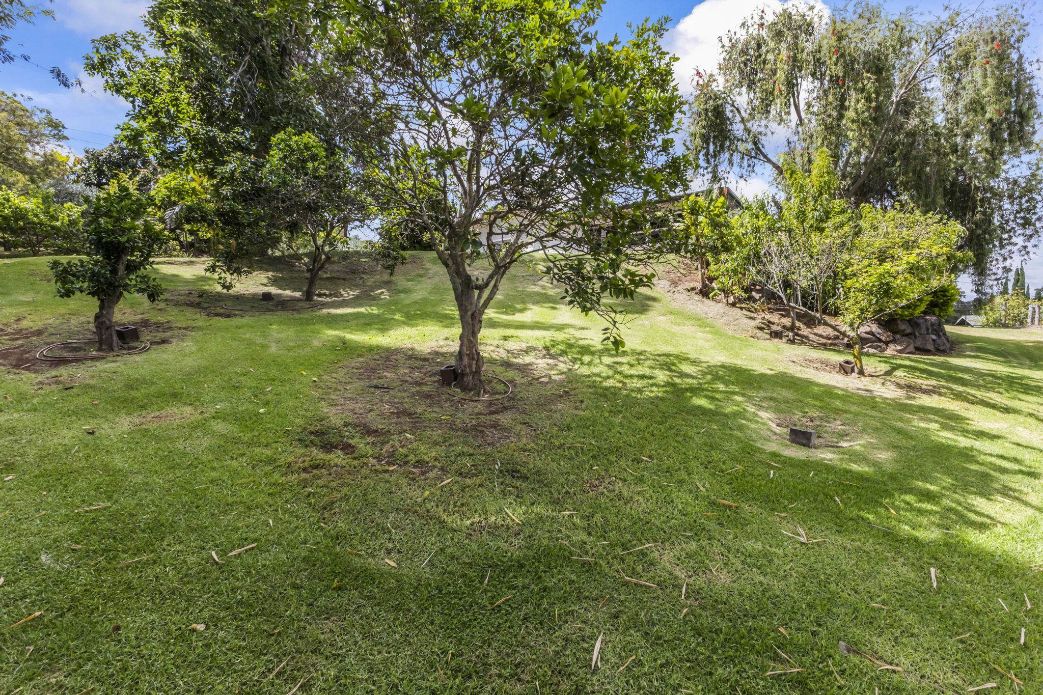 10  Palena Pl , Kula/Ulupalakua/Kanaio home - photo 42 of 50