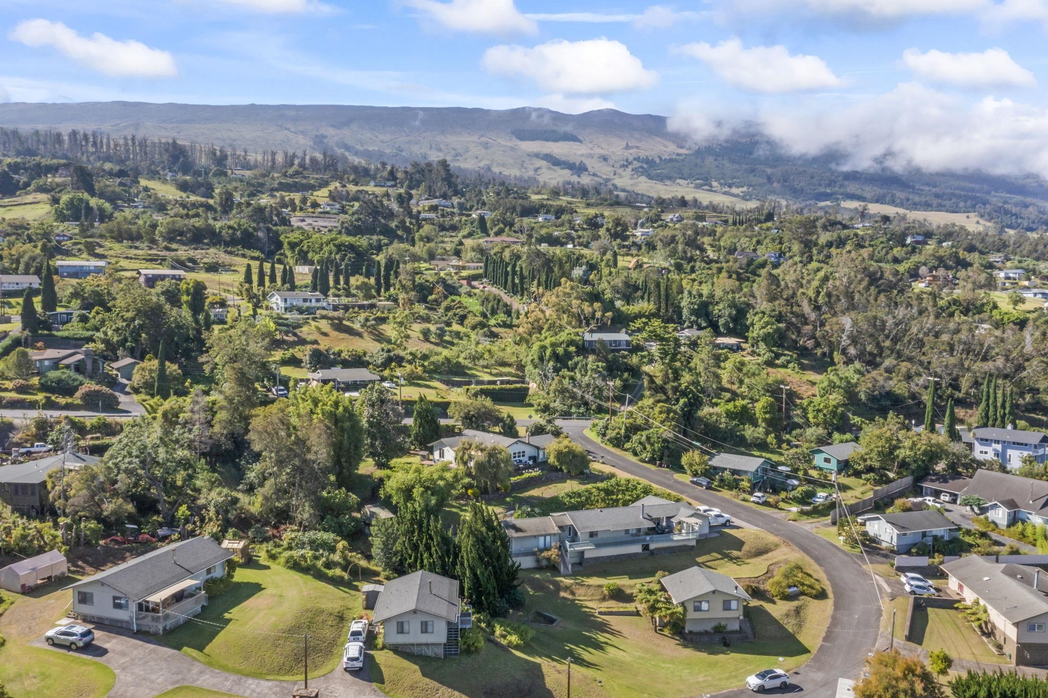 10  Palena Pl , Kula/Ulupalakua/Kanaio home - photo 46 of 50