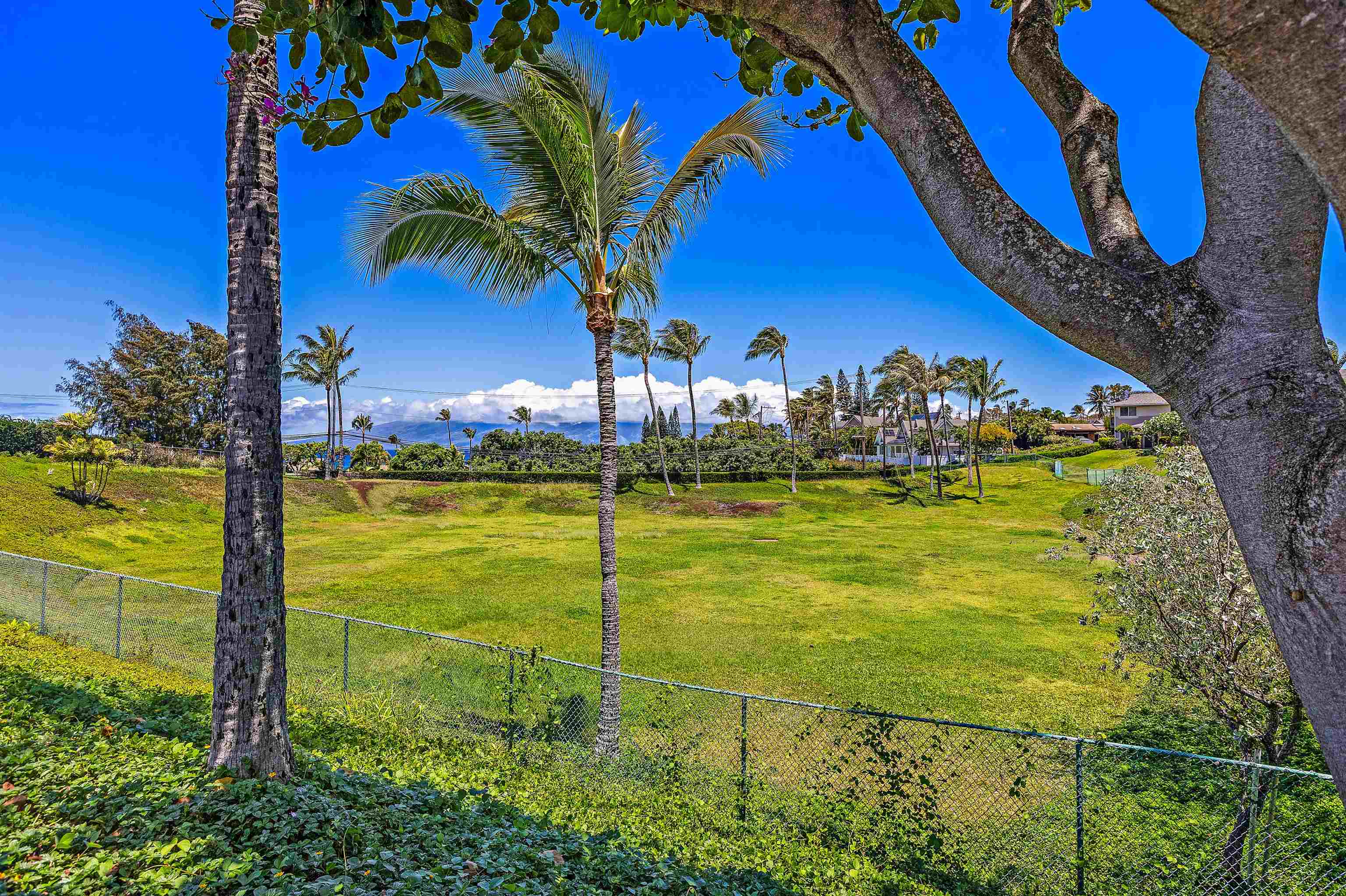 Napili Villas condo # 2-3, Lahaina, Hawaii - photo 30 of 31