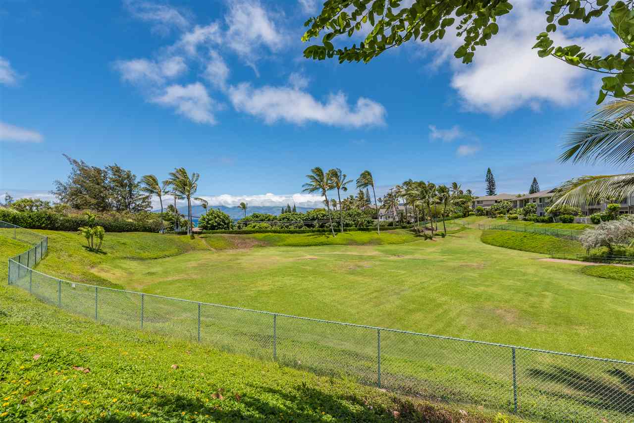 Napili Villas condo # 4, Lahaina, Hawaii - photo 22 of 28