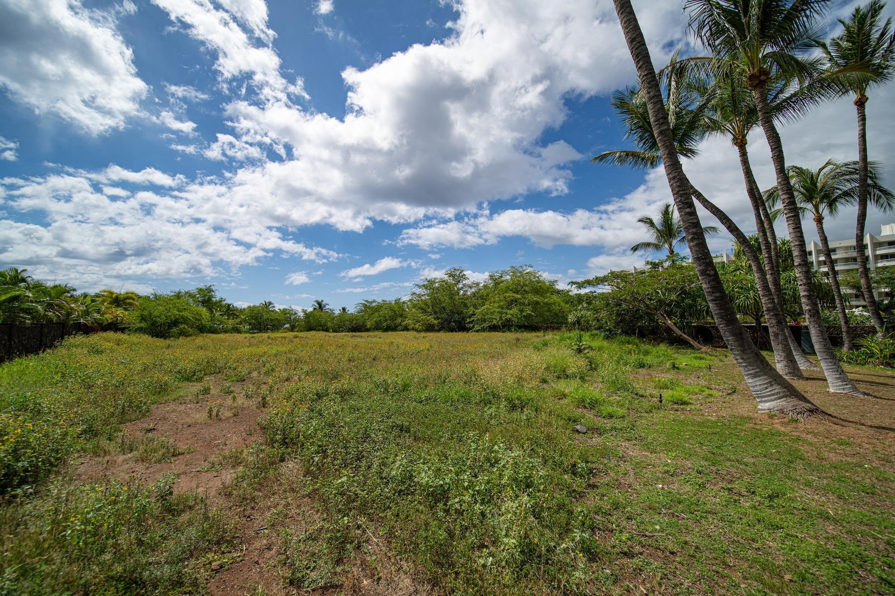 10 Ualei Pl  Kihei, Hi vacant land for sale - photo 24 of 29