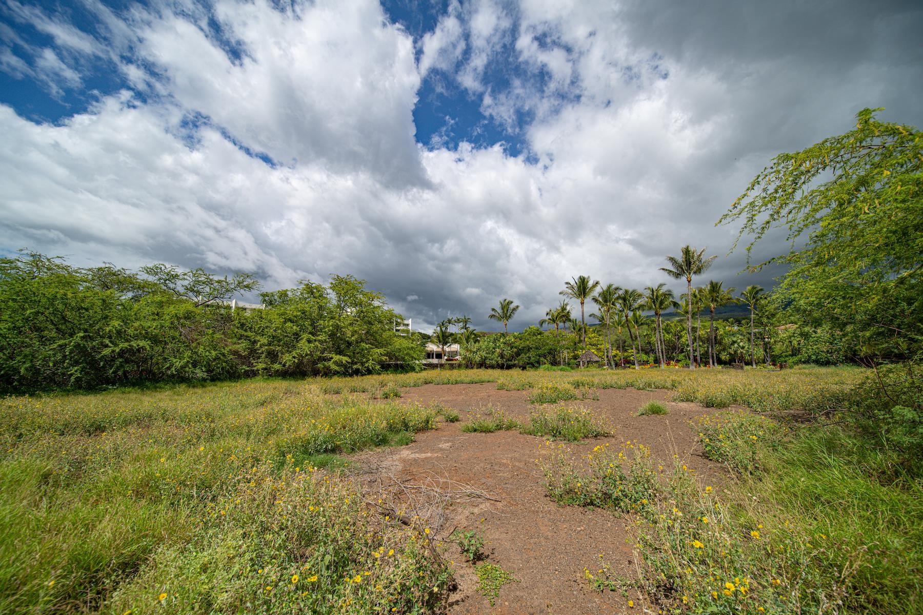 10 Ualei Pl  Kihei, Hi vacant land for sale - photo 25 of 29