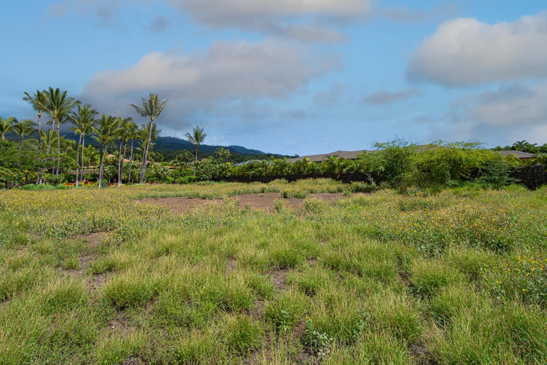 10 Ualei Pl  Kihei, Hi vacant land for sale - photo 26 of 29