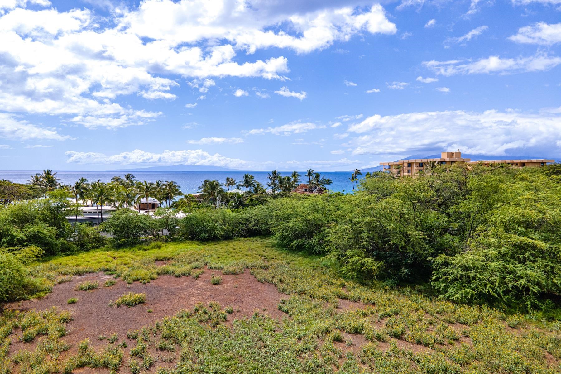 10 Ualei Pl  Kihei, Hi vacant land for sale - photo 27 of 29