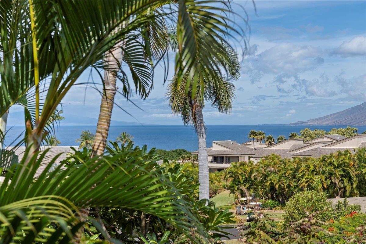 Wailea Ekolu condo # 1006, Kihei, Hawaii - photo 21 of 50