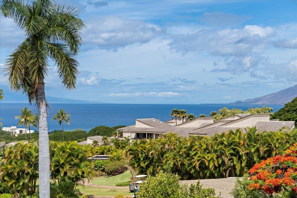 Wailea Ekolu condo # 1006, Kihei, Hawaii - photo 39 of 50