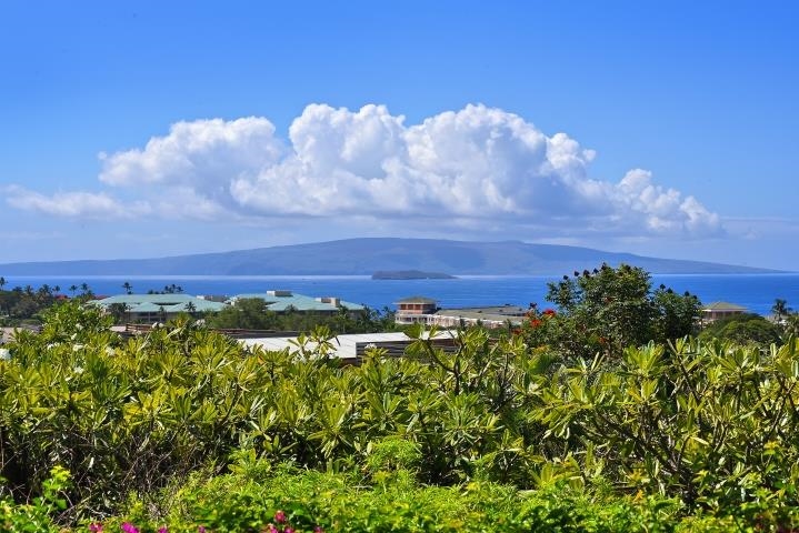 Wailea Ekolu condo # 105, Kihei, Hawaii - photo 3 of 34