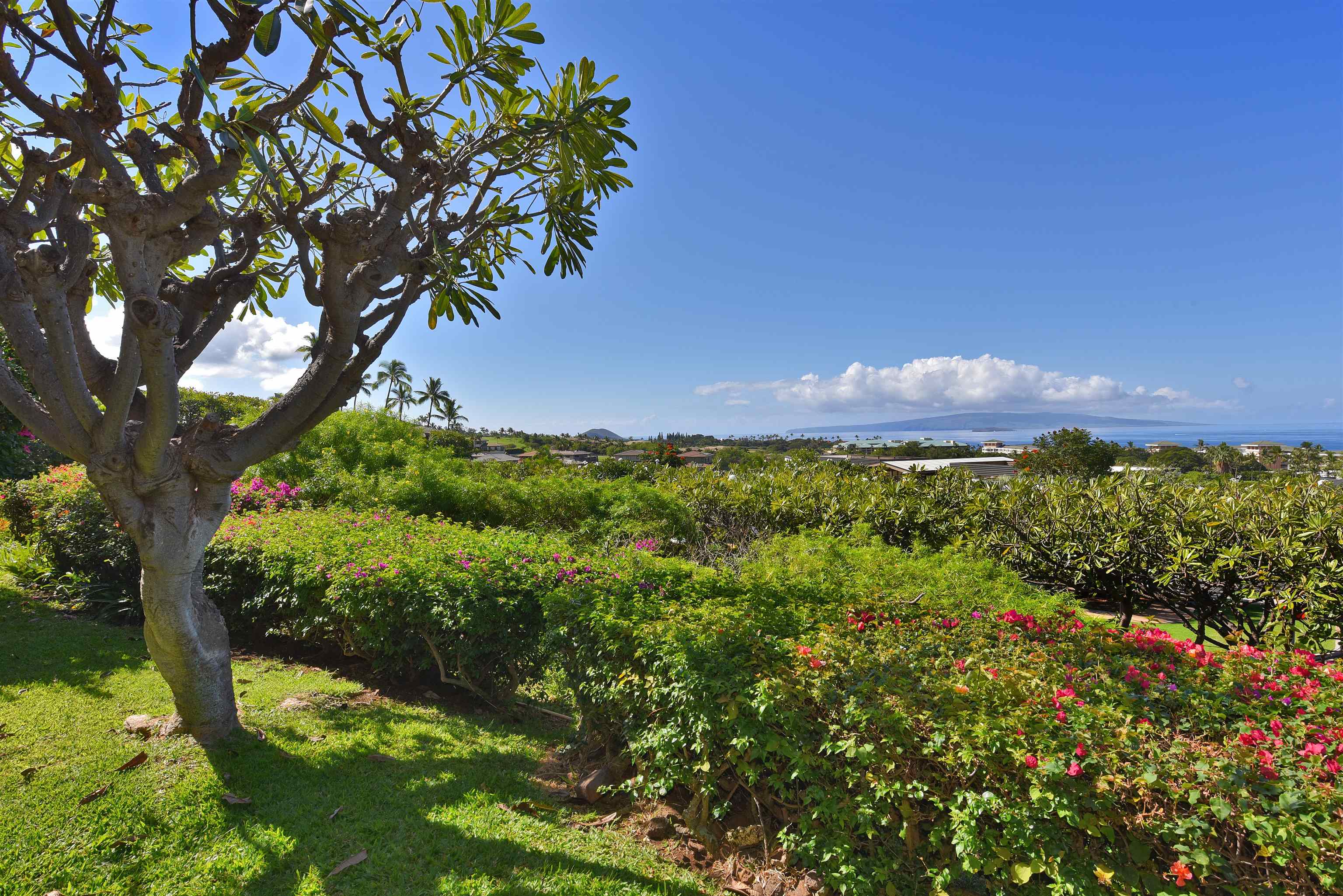 Wailea Ekolu condo # 105, Kihei, Hawaii - photo 31 of 35