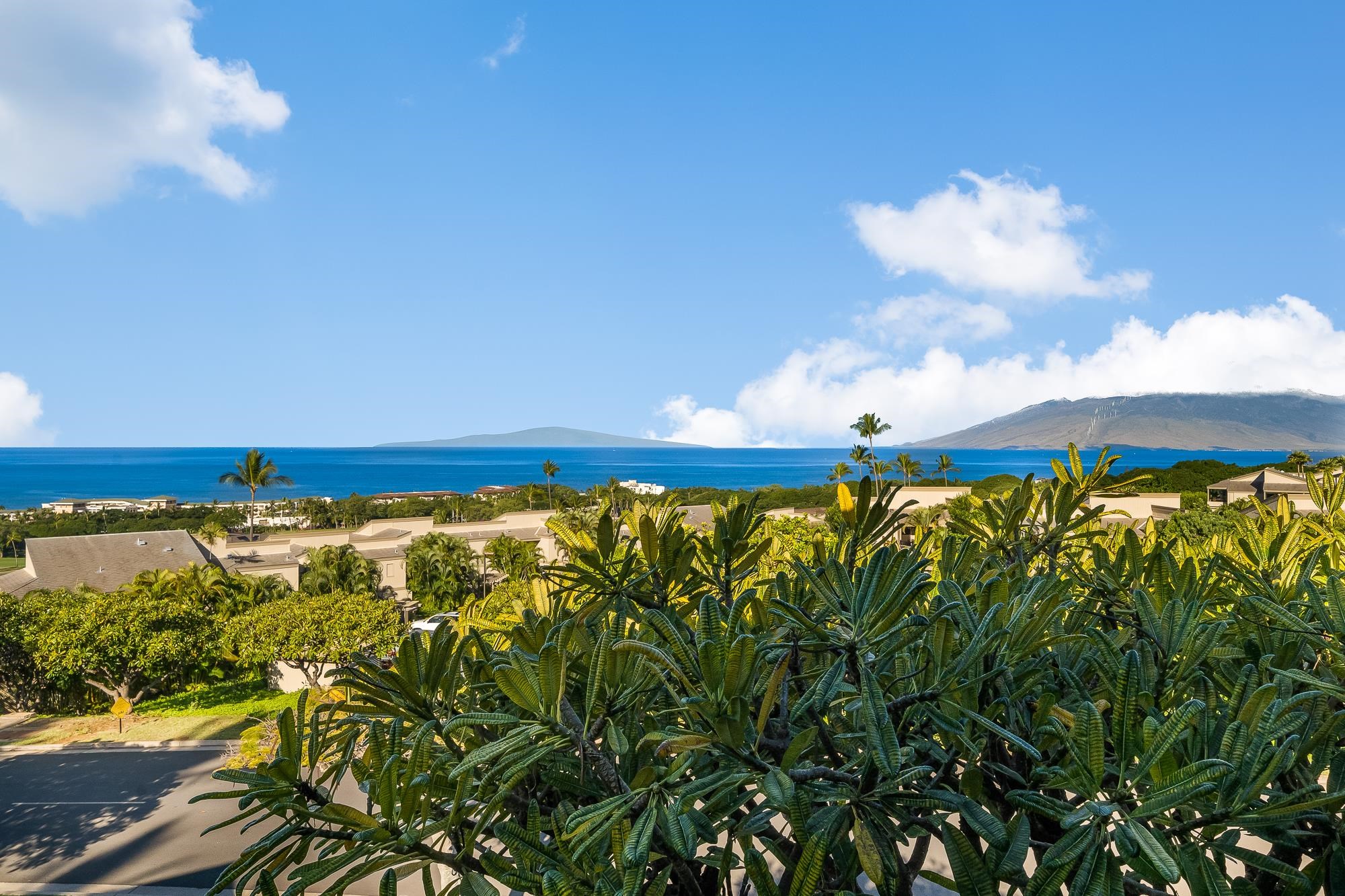 Wailea Ekolu condo # 1106, Kihei, Hawaii - photo 3 of 30