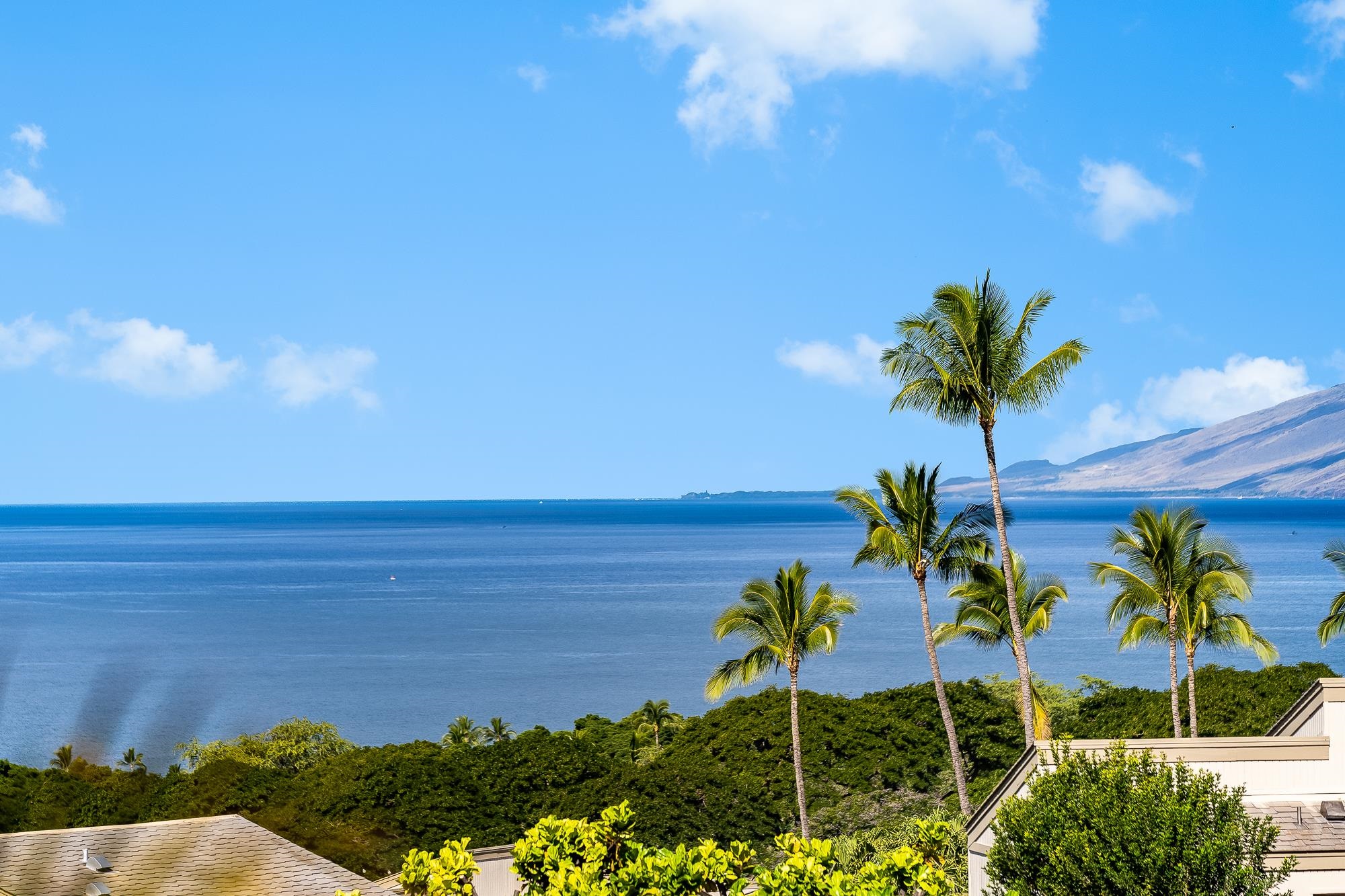 Wailea Ekolu condo # 1106, Kihei, Hawaii - photo 25 of 30