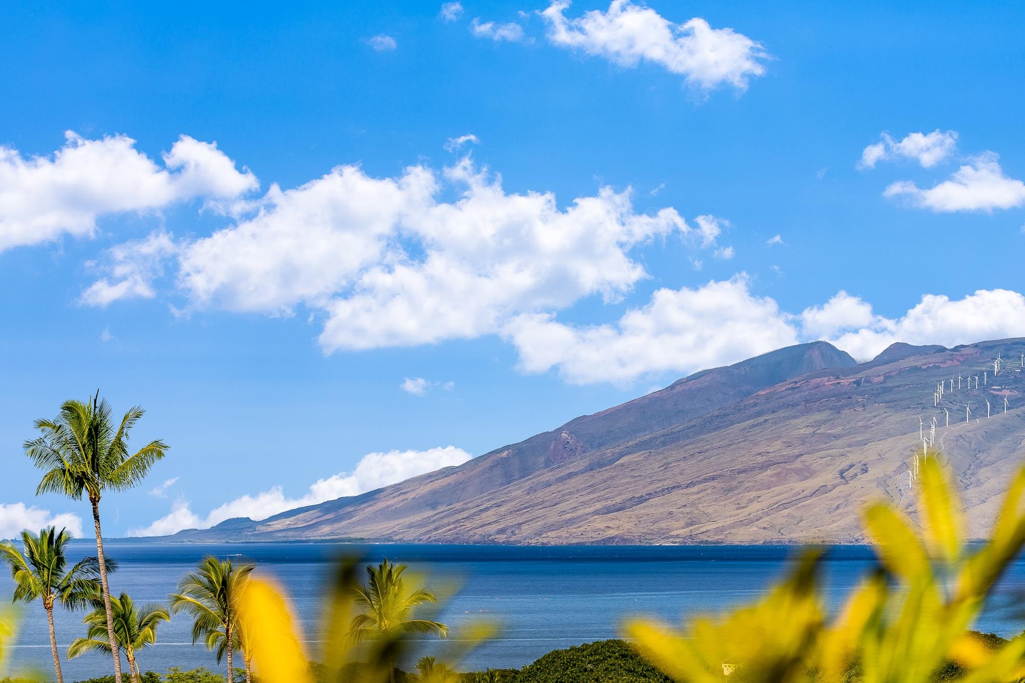 Wailea Ekolu condo # 1106, Kihei, Hawaii - photo 26 of 30