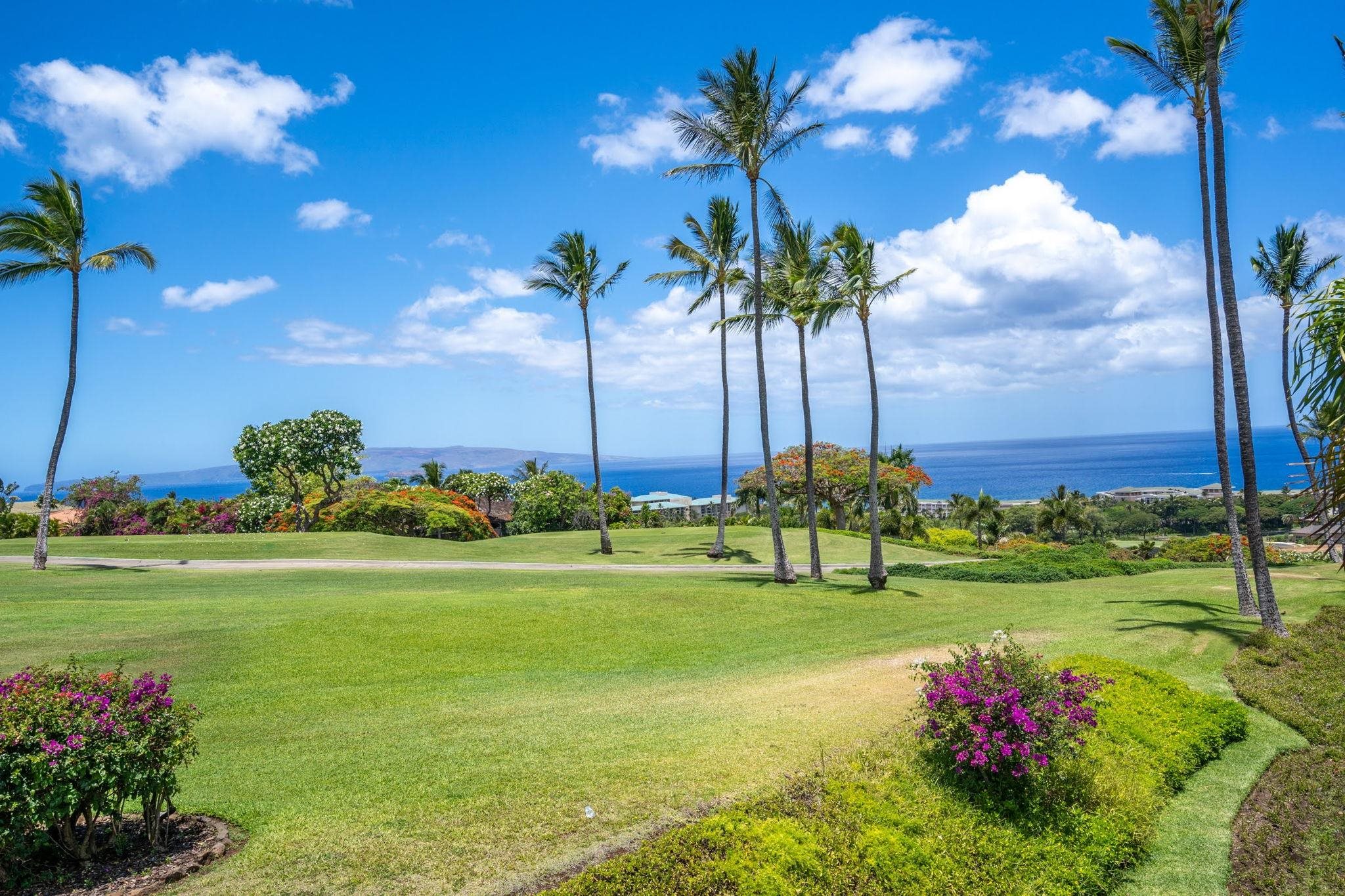 Wailea Ekolu condo # 1204, Kihei, Hawaii - photo 2 of 36