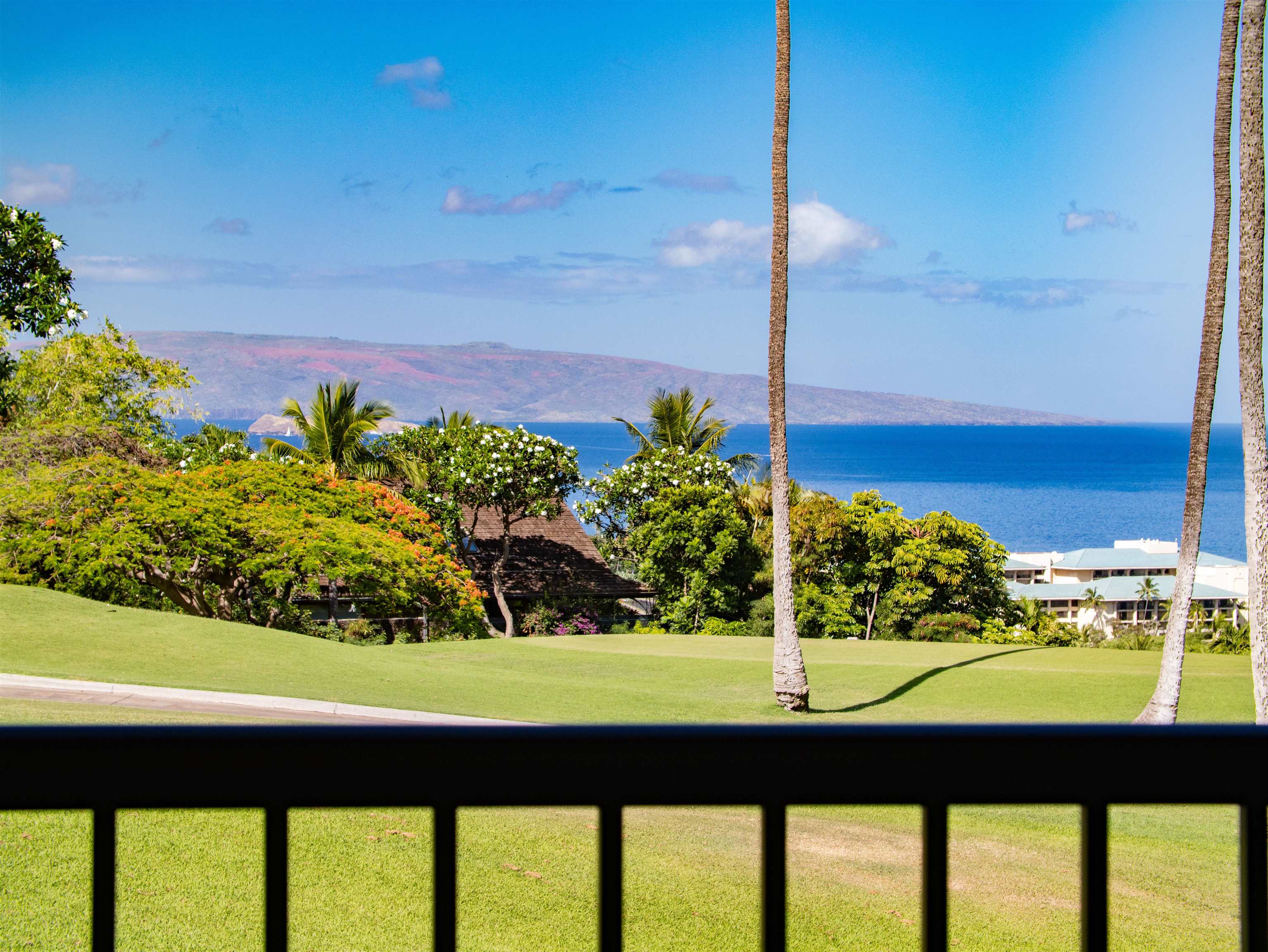 Wailea Ekolu condo # 1204, Kihei, Hawaii - photo 40 of 50