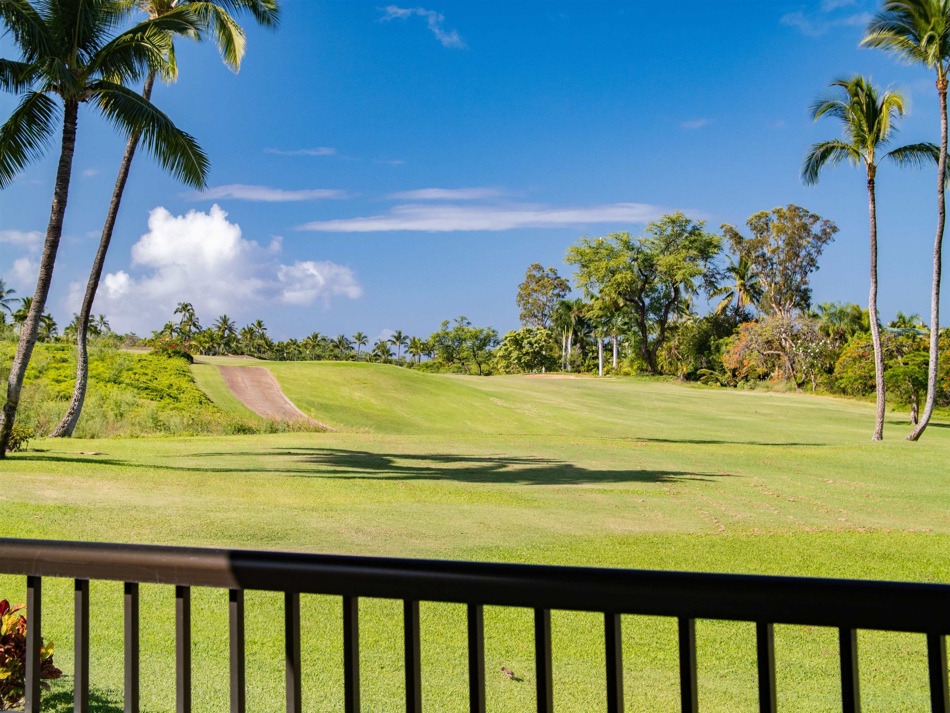 Wailea Ekolu condo # 1204, Kihei, Hawaii - photo 5 of 50