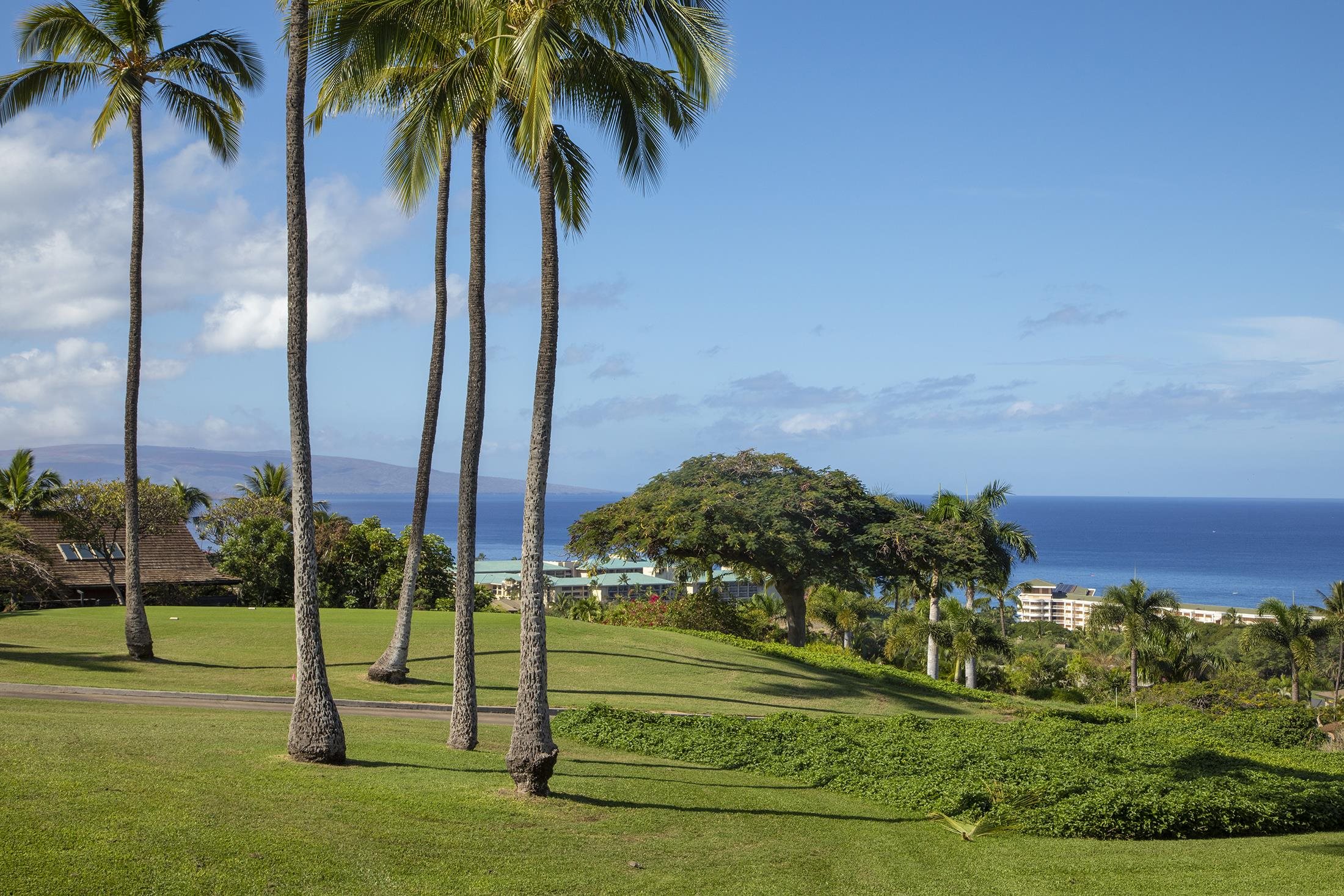 Wailea Ekolu condo # 1206, Kihei, Hawaii - photo 30 of 30