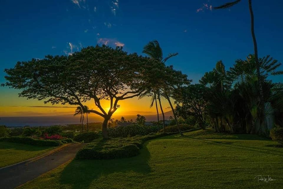 Wailea Ekolu condo # 1207, Kihei, Hawaii - photo 2 of 33