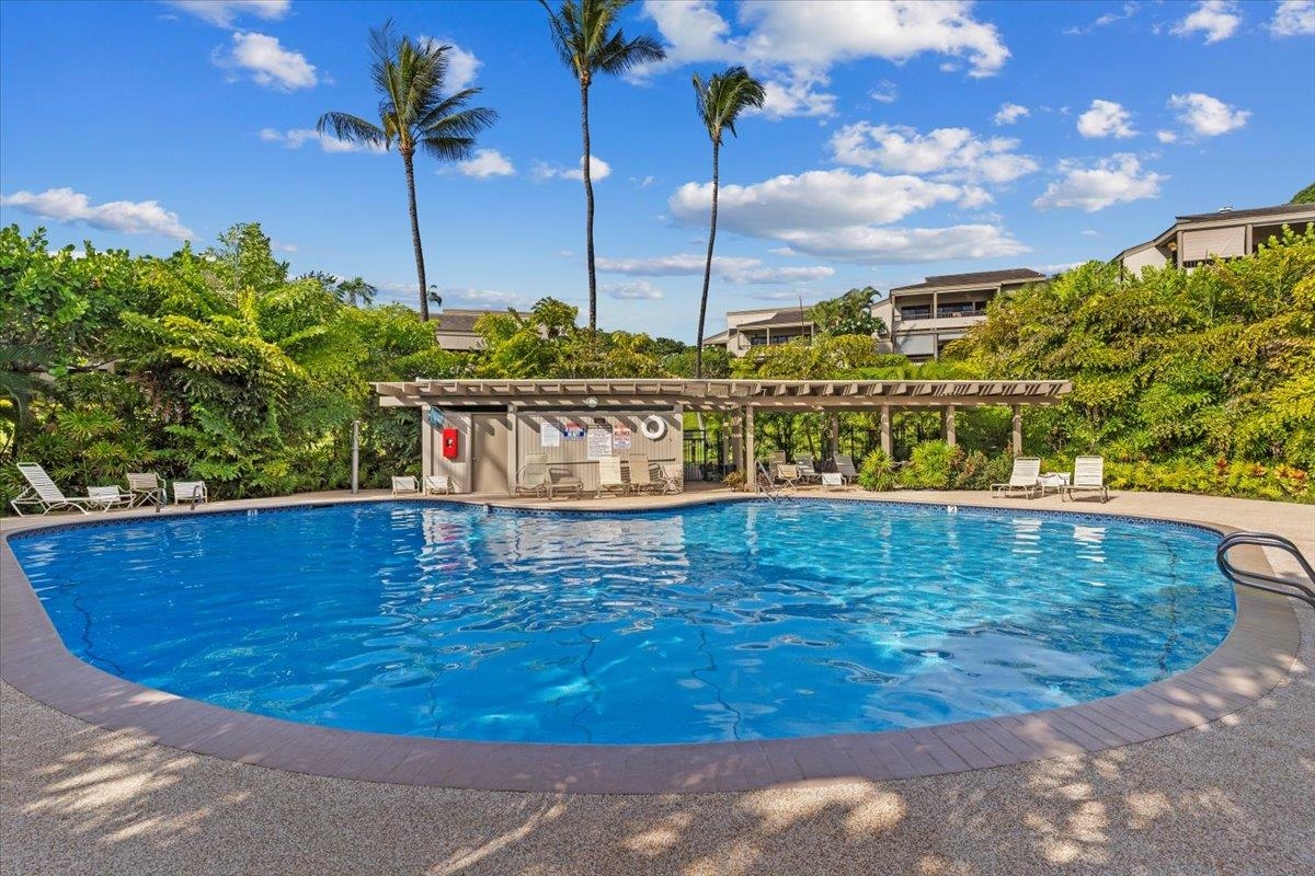 Wailea Ekolu condo # 1304, Kihei, Hawaii - photo 43 of 50