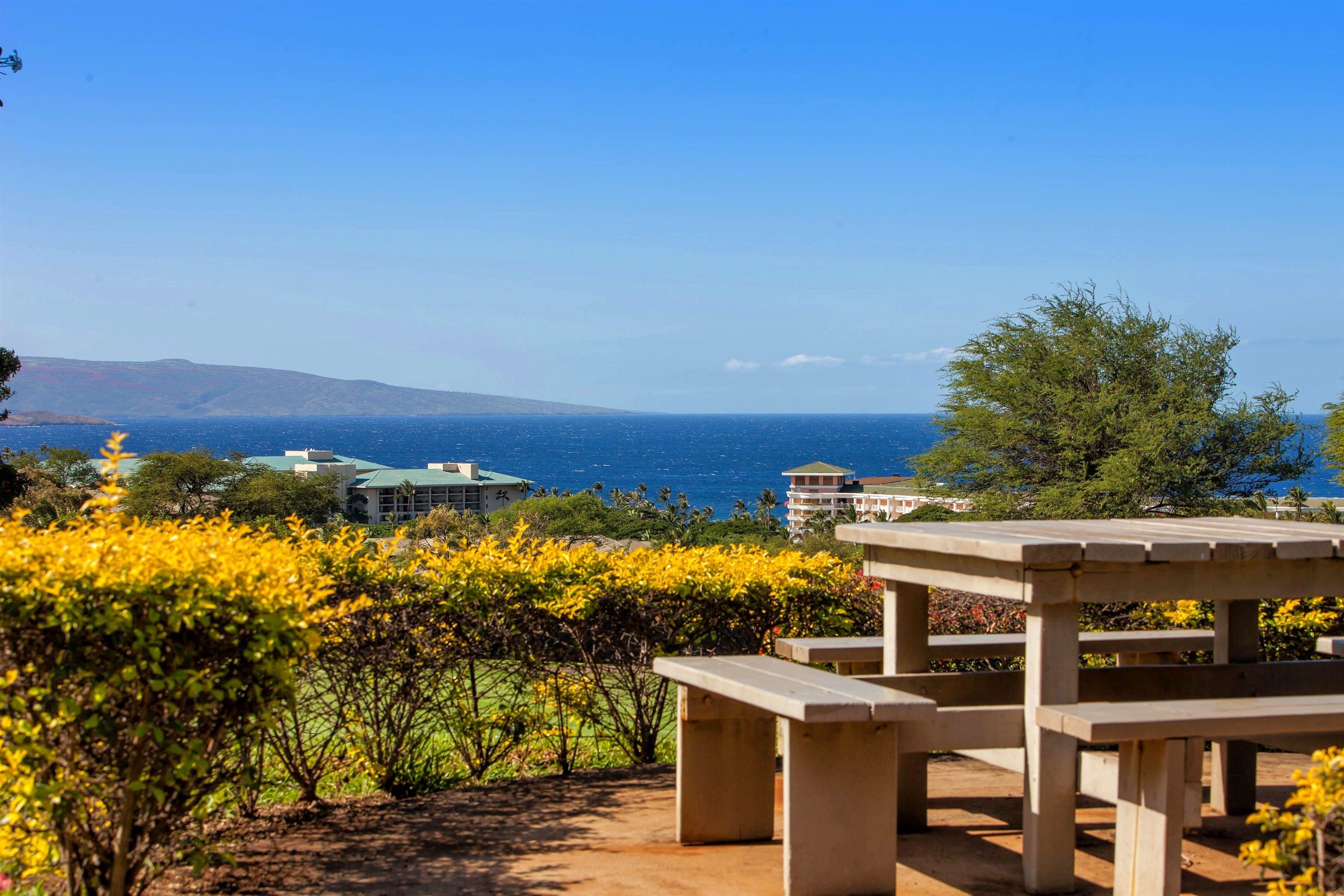 Wailea Ekolu condo # 1305, Kihei, Hawaii - photo 32 of 45