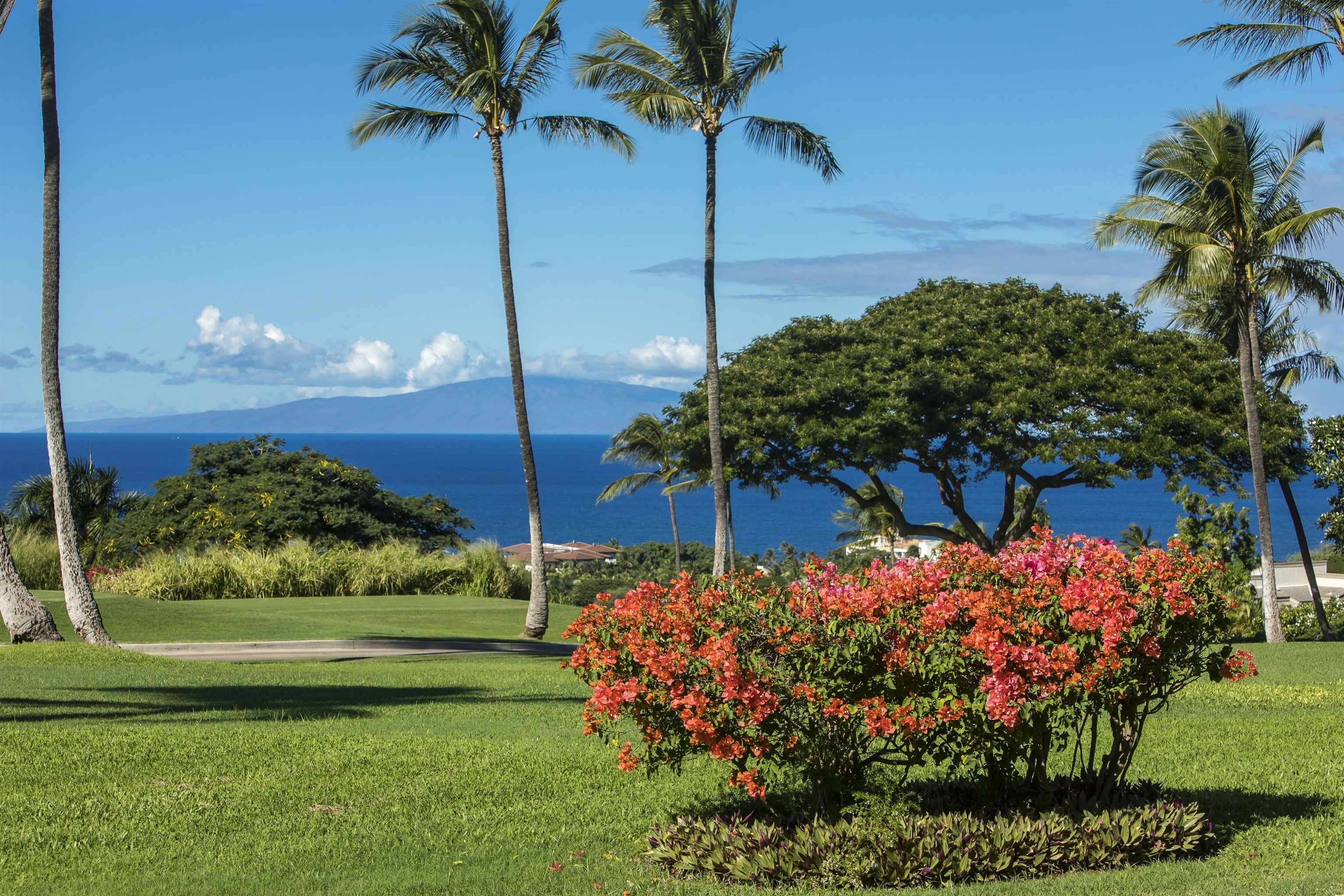 Wailea Ekolu condo # 1305, Kihei, Hawaii - photo 34 of 45