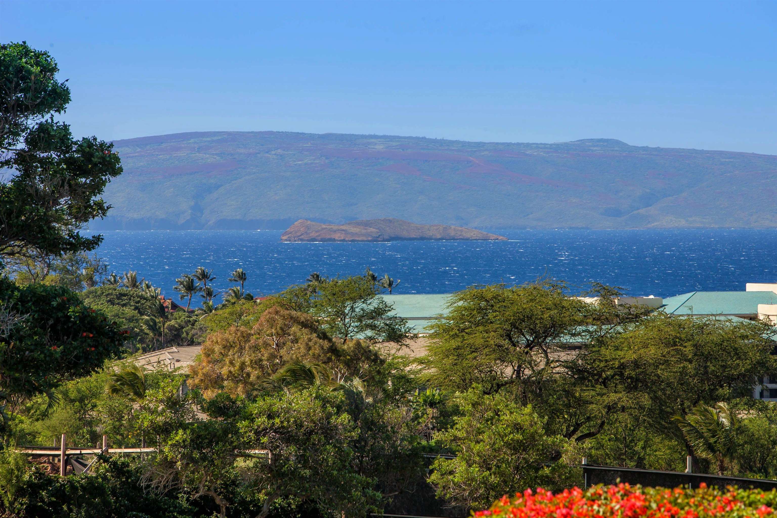 Wailea Ekolu condo # 1305, Kihei, Hawaii - photo 44 of 45