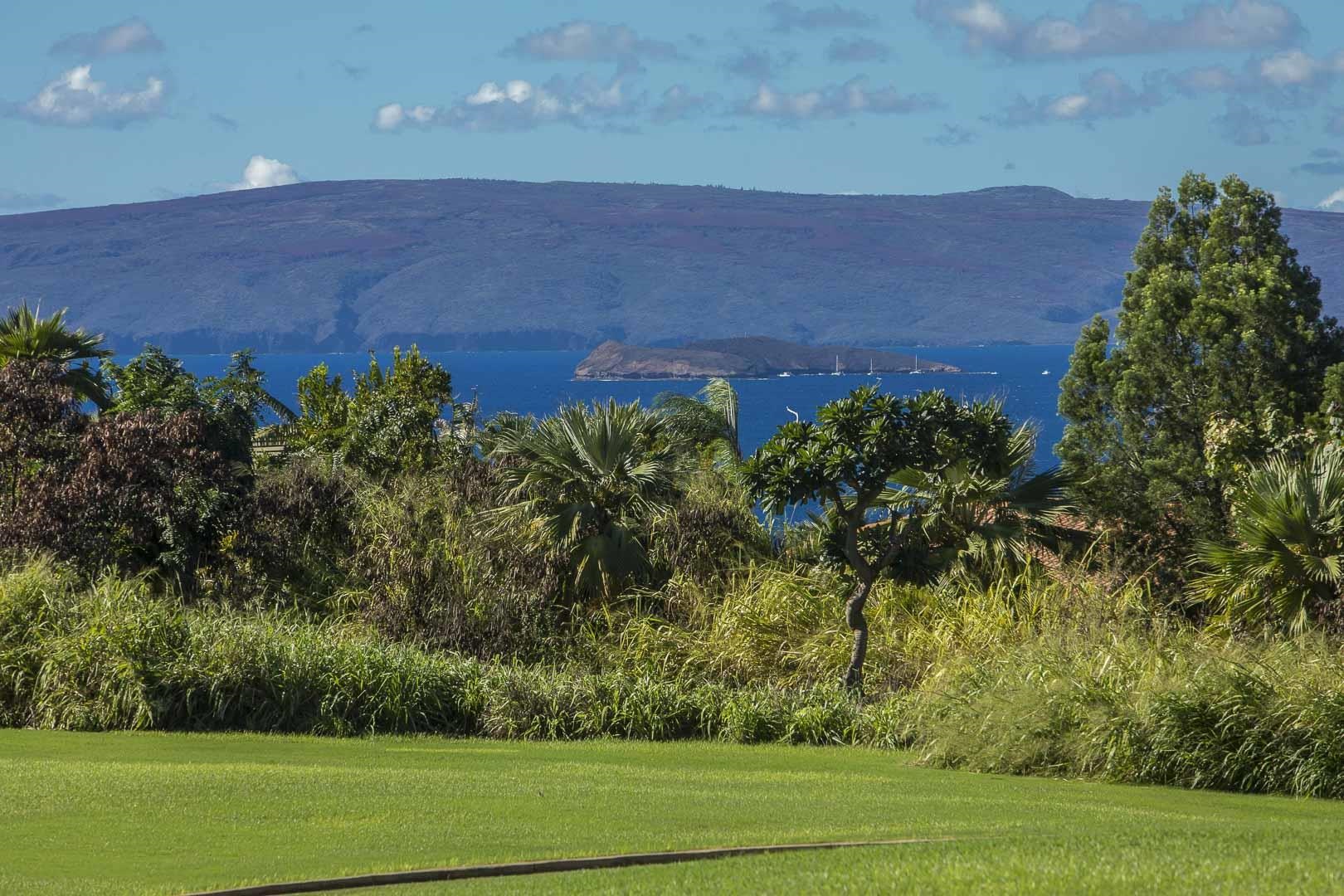 Wailea Ekolu condo # 1507, Kihei, Hawaii - photo 26 of 32