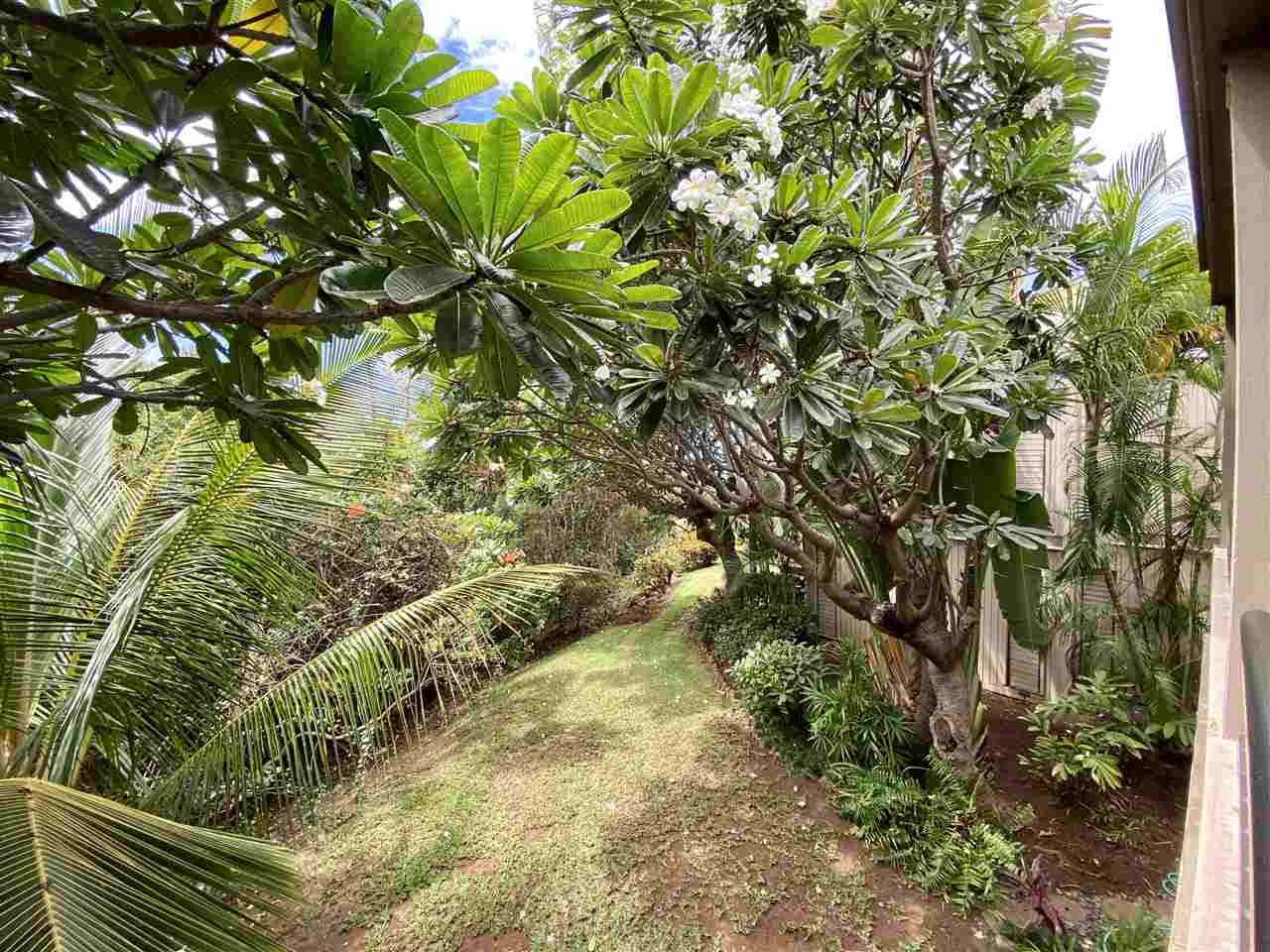 Wailea Ekolu condo # 1602, Kihei, Hawaii - photo 25 of 29