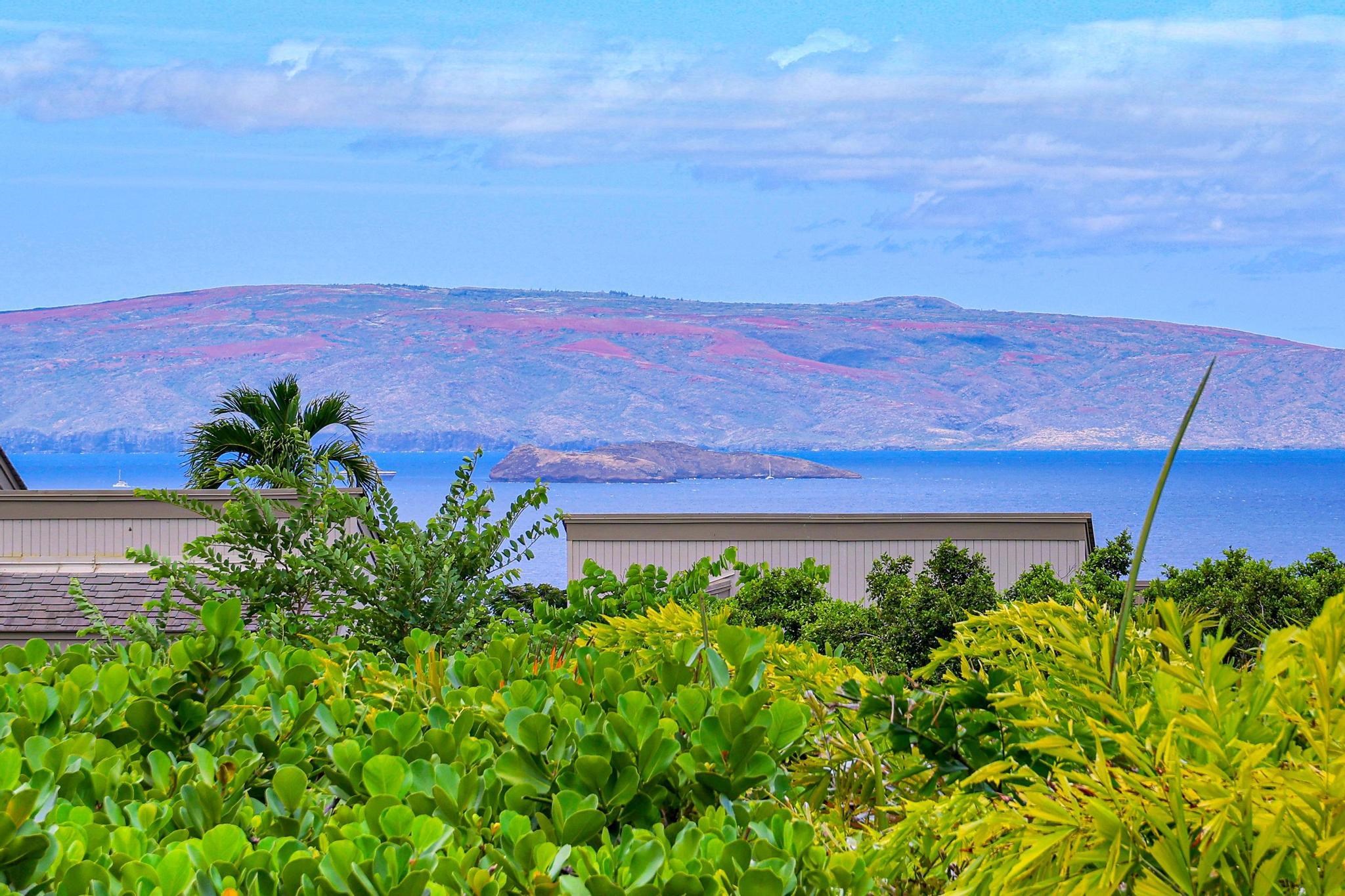 Wailea Ekolu condo # 1705, Kihei, Hawaii - photo 22 of 39