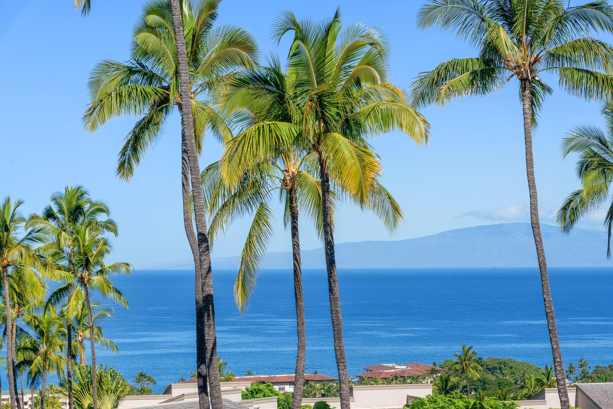 Wailea Ekolu condo # 1706, Kihei, Hawaii - photo 2 of 40