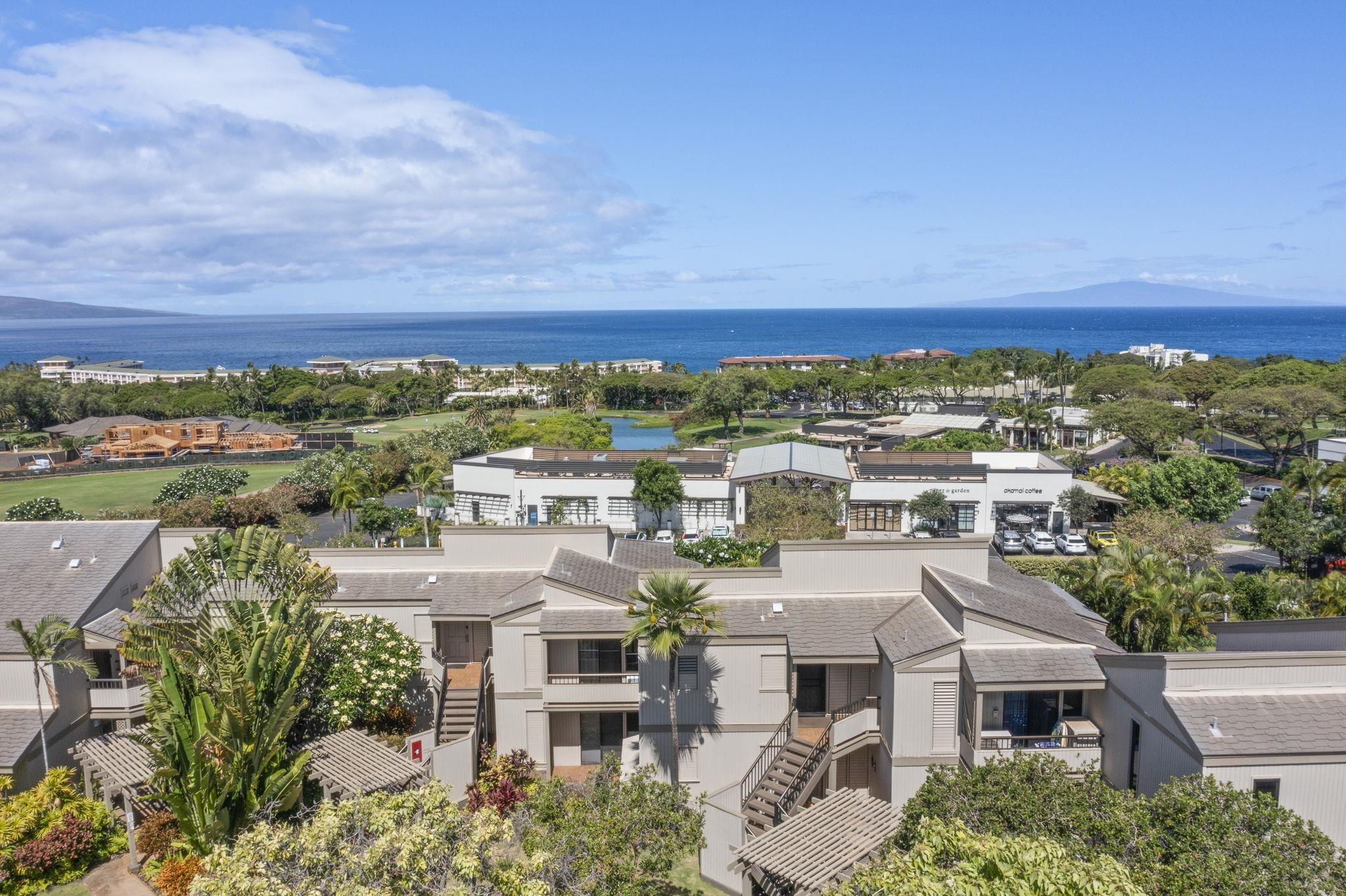 Wailea Ekolu condo # 201, Kihei, Hawaii - photo 26 of 50