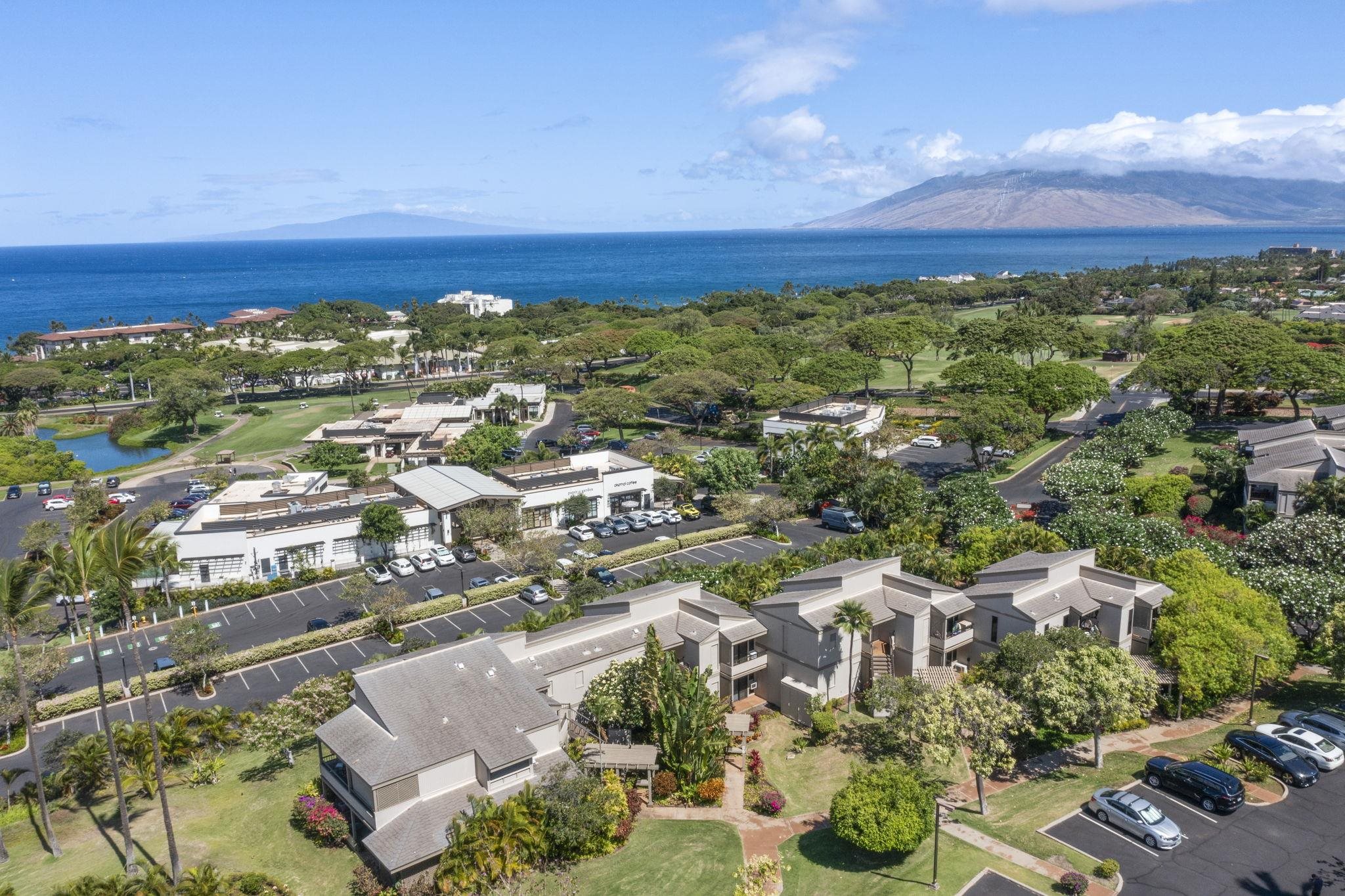 Wailea Ekolu condo # 201, Kihei, Hawaii - photo 27 of 50