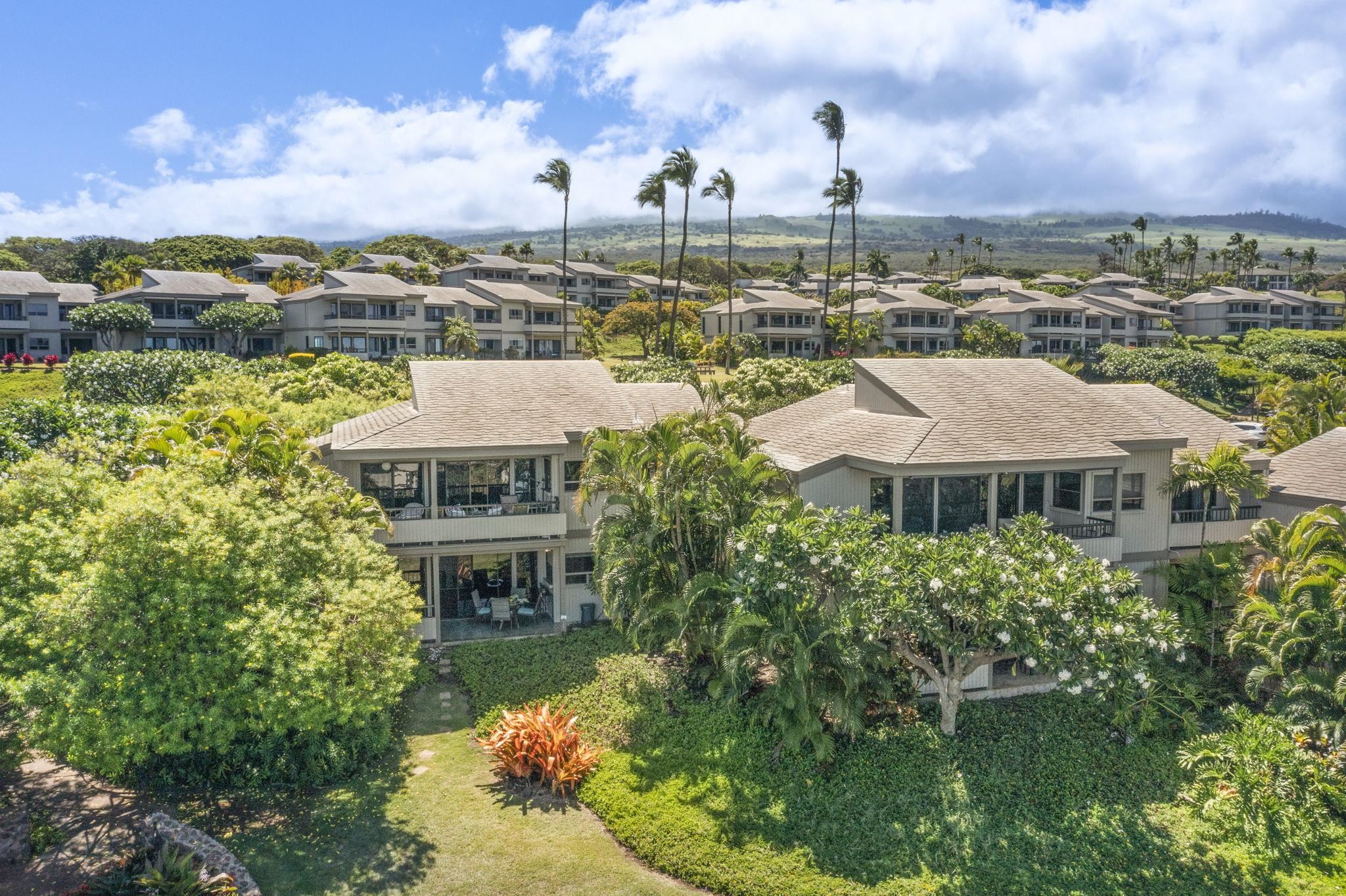 Wailea Ekolu condo # 201, Kihei, Hawaii - photo 30 of 50