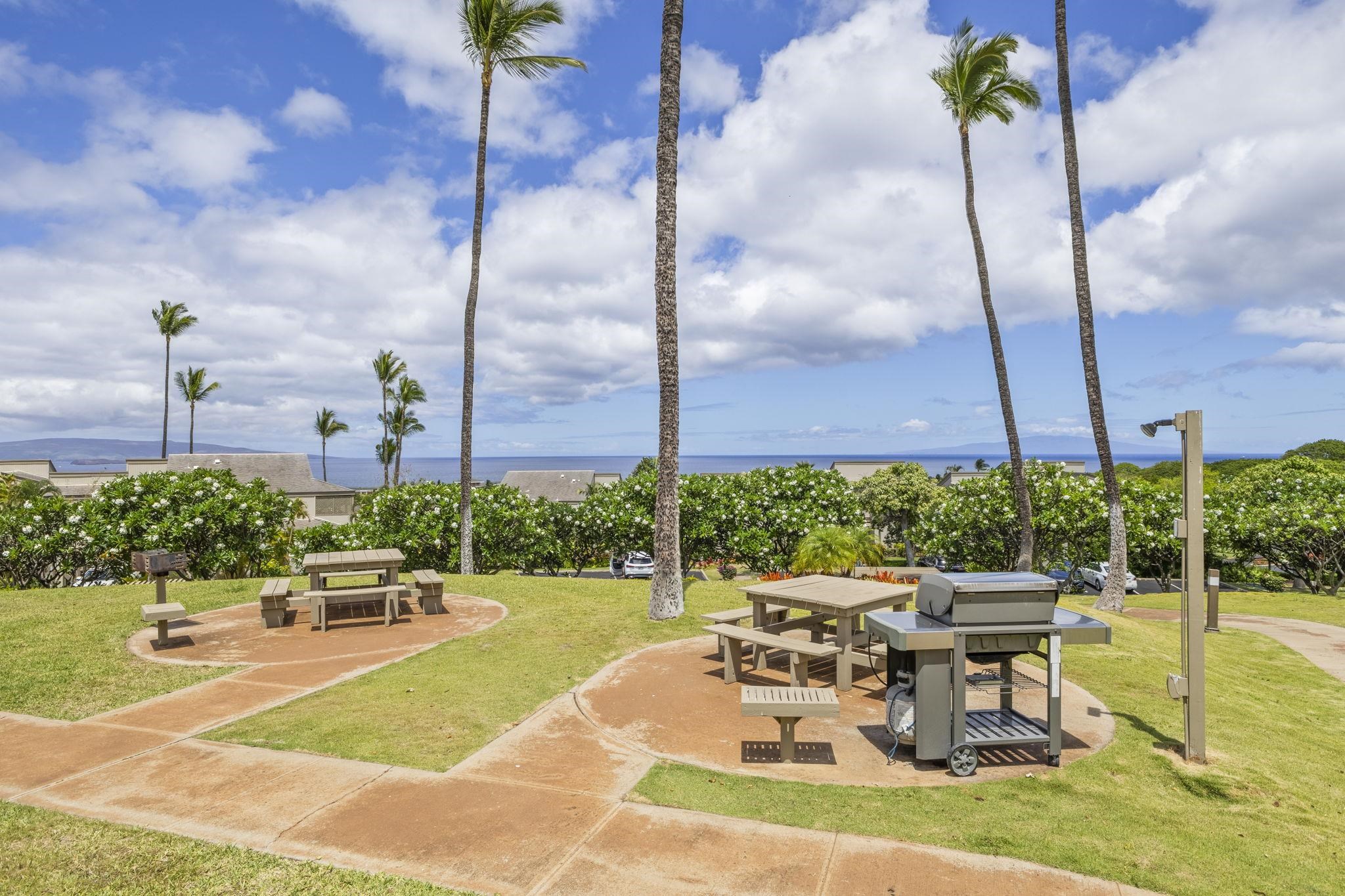 Wailea Ekolu condo # 201, Kihei, Hawaii - photo 39 of 50