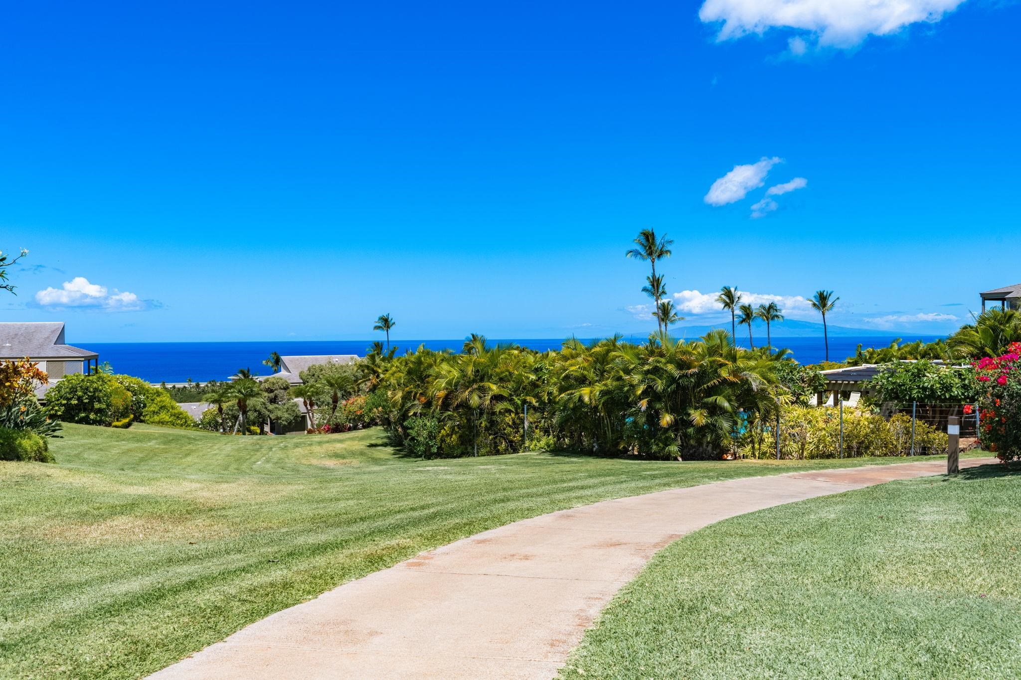 Wailea Ekolu condo # 201, Kihei, Hawaii - photo 42 of 50