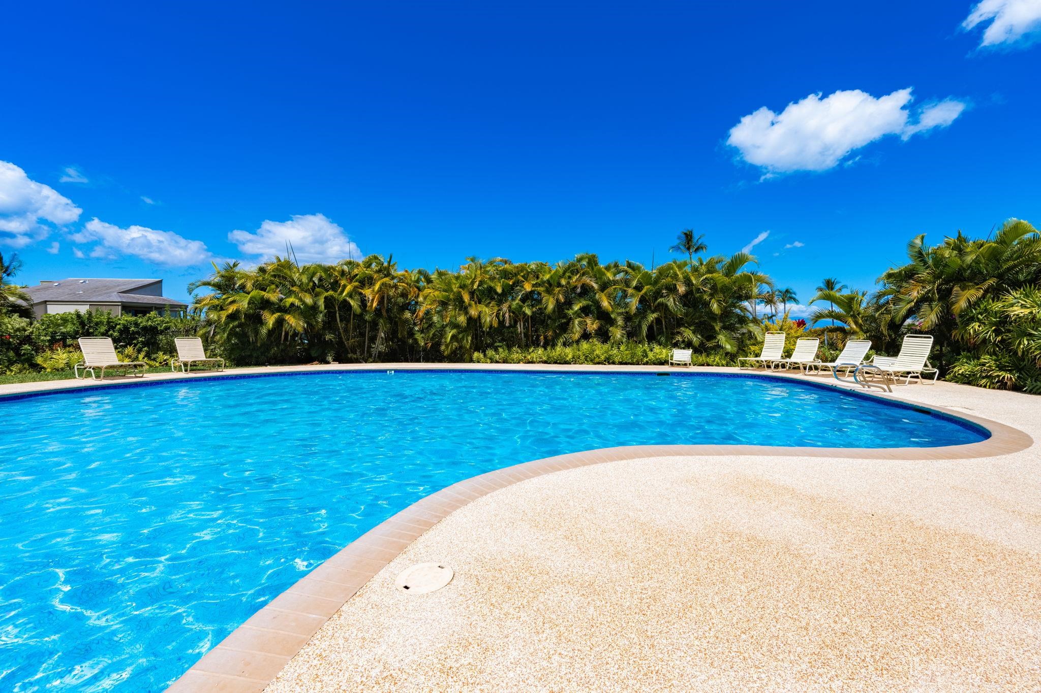 Wailea Ekolu condo # 201, Kihei, Hawaii - photo 43 of 50